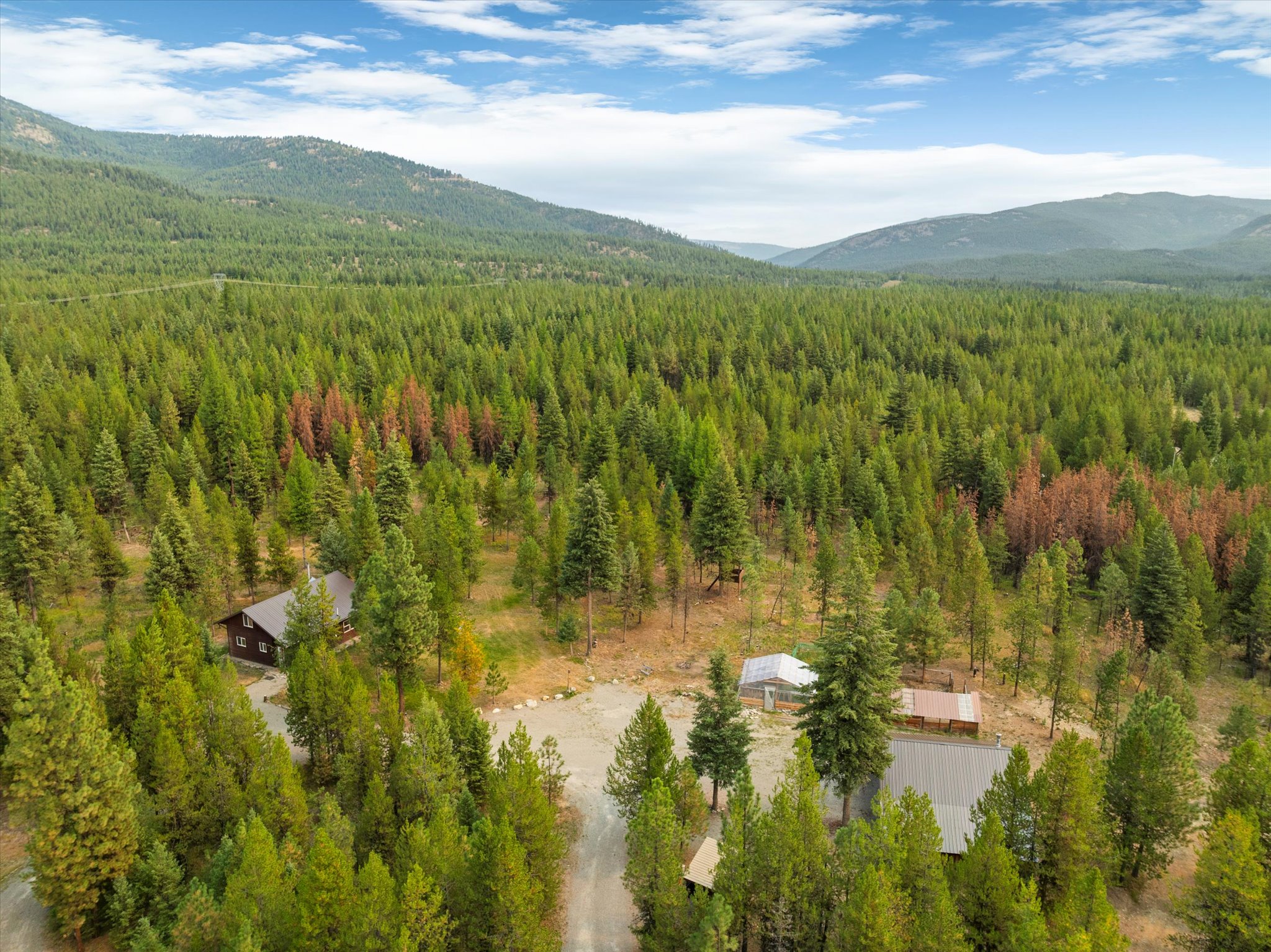 886 Rogers Mountain Loop