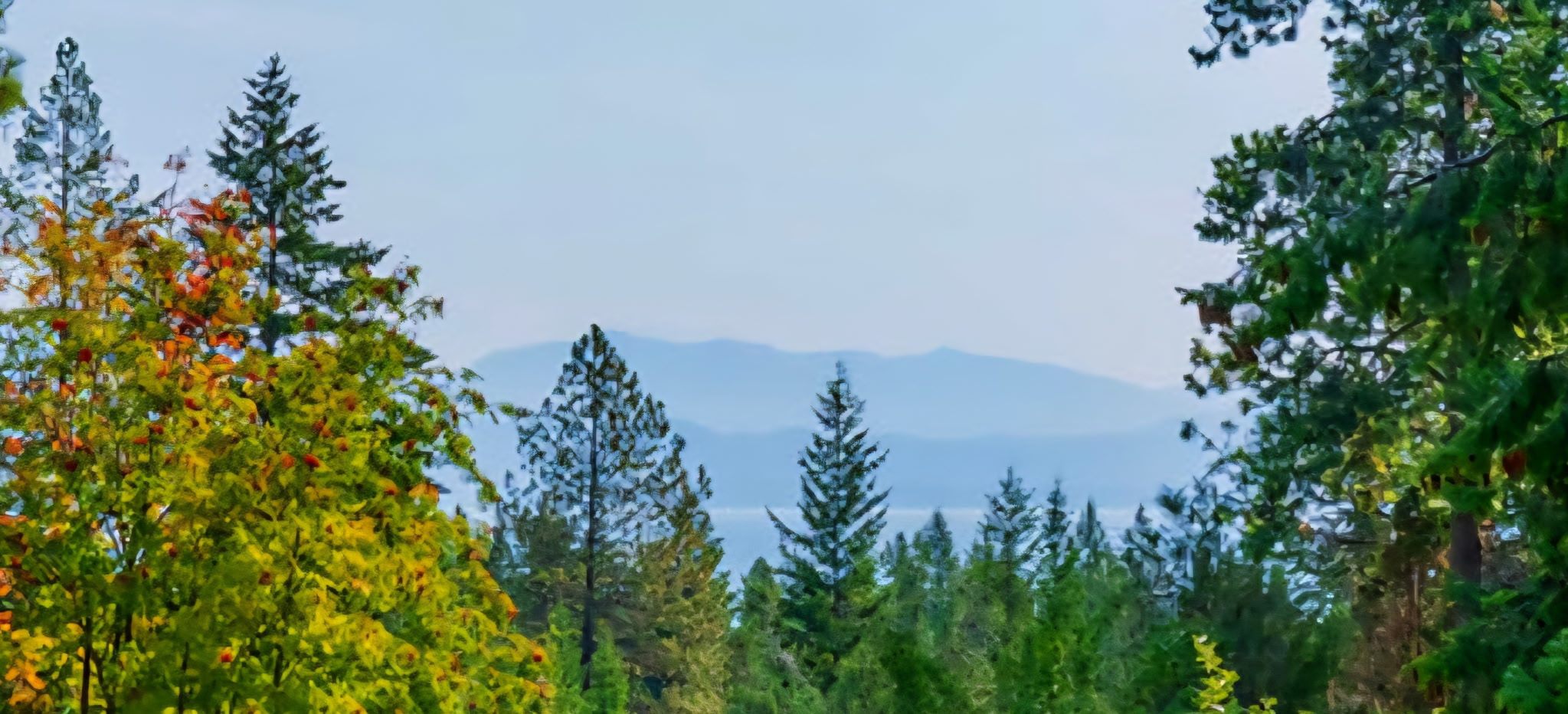 114 Timberlake Drive