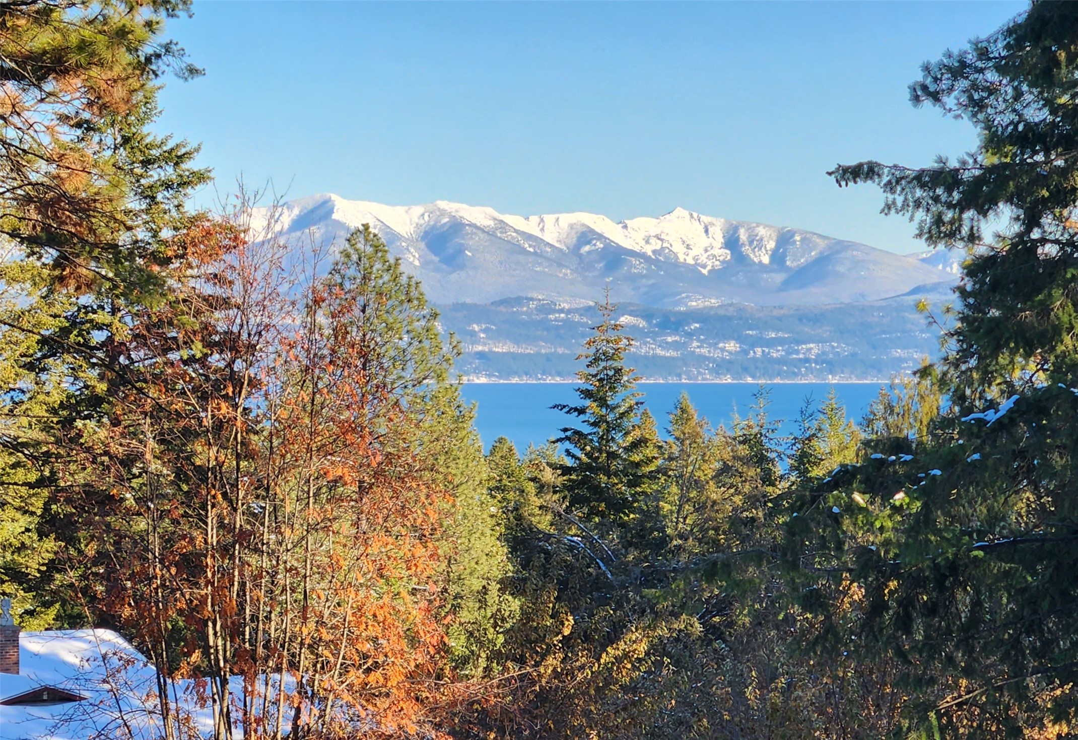 114 Timberlake Drive