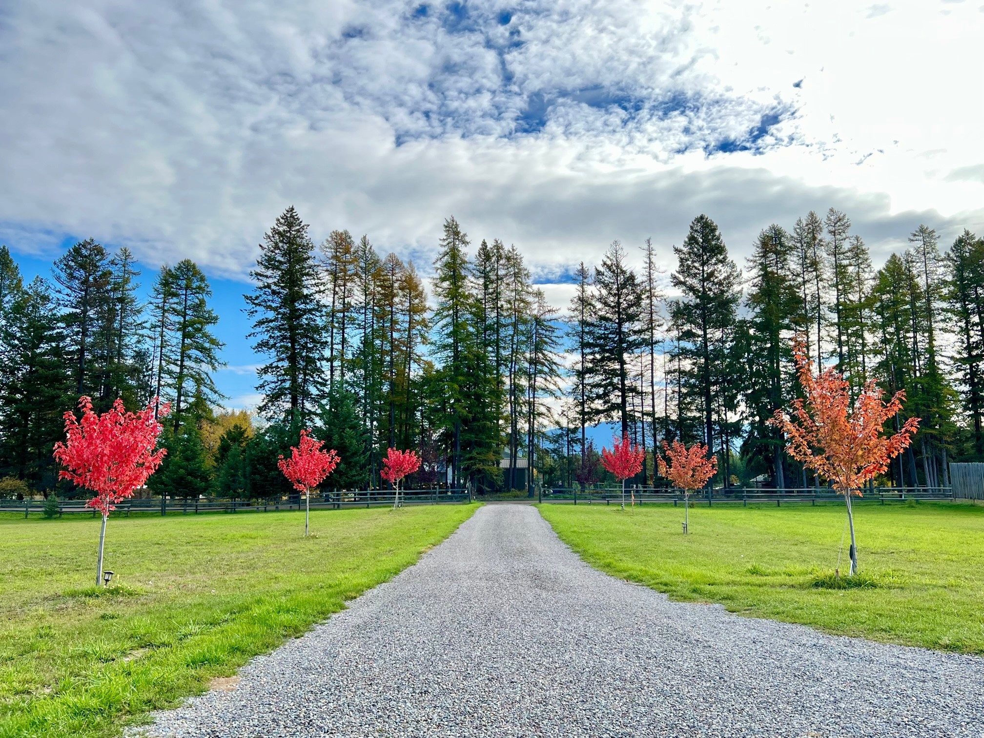 205 Kinnikinnick Lane