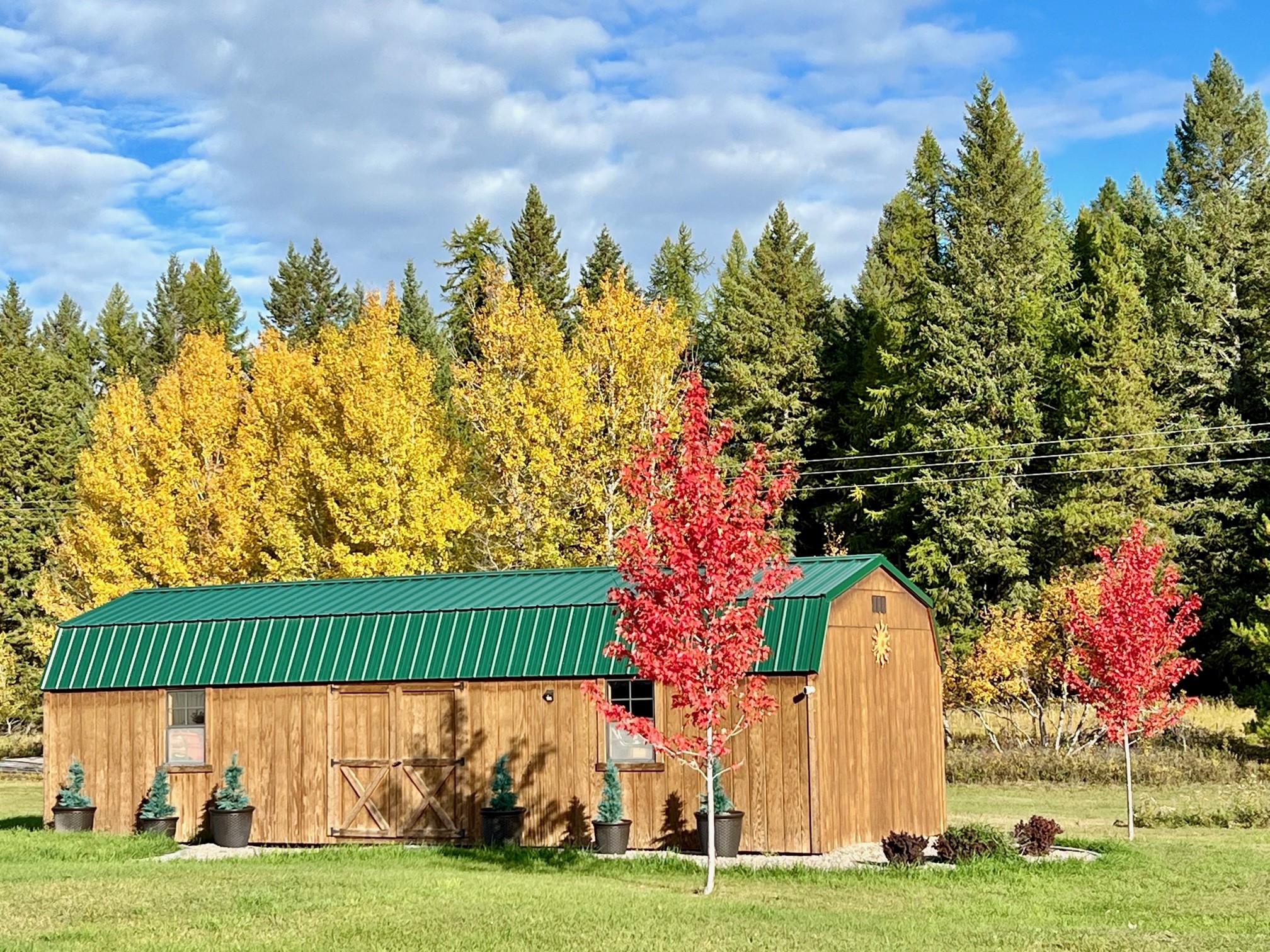 205 Kinnikinnick Lane