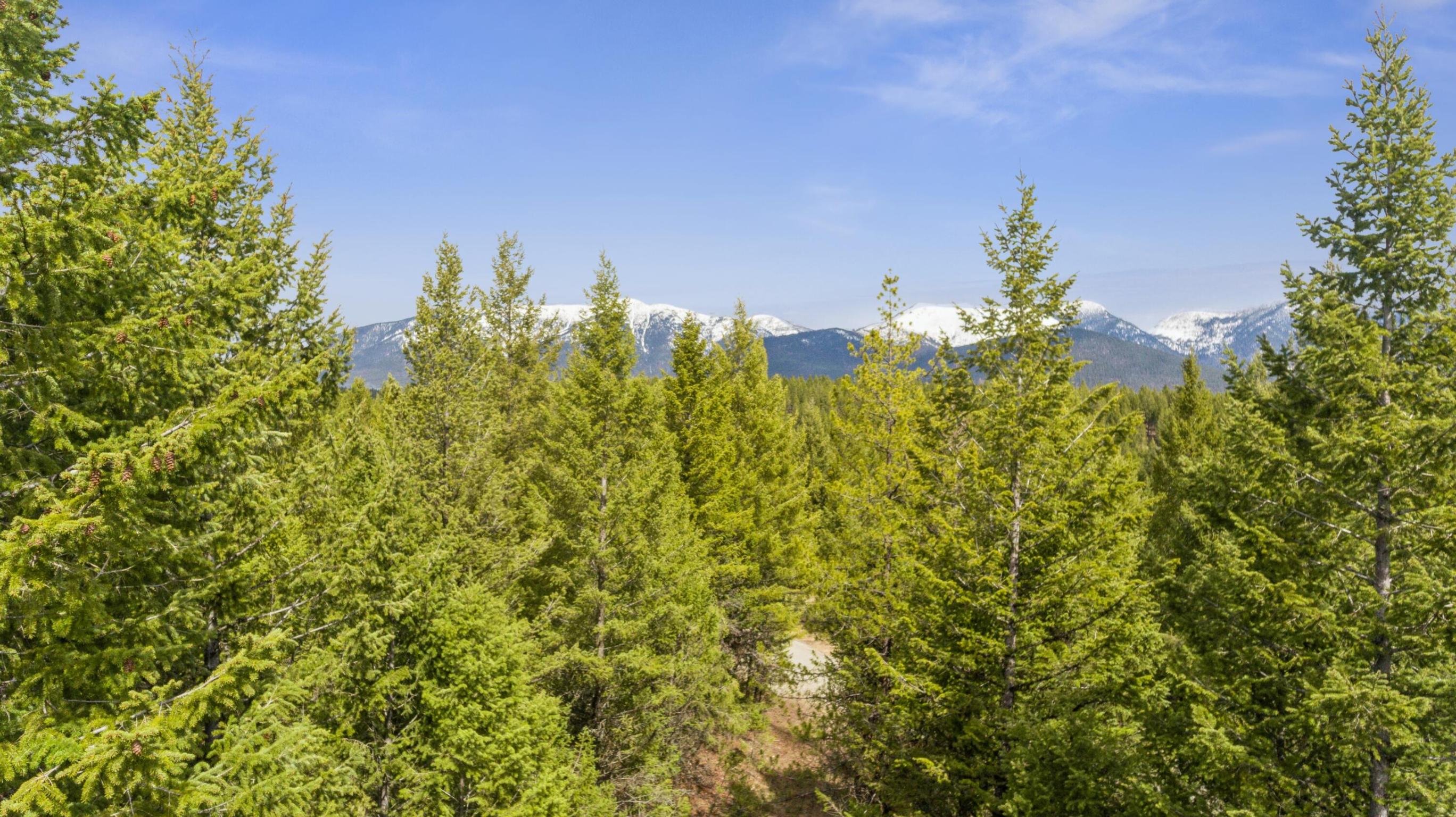 NHN Evergreen Drive Lot 23