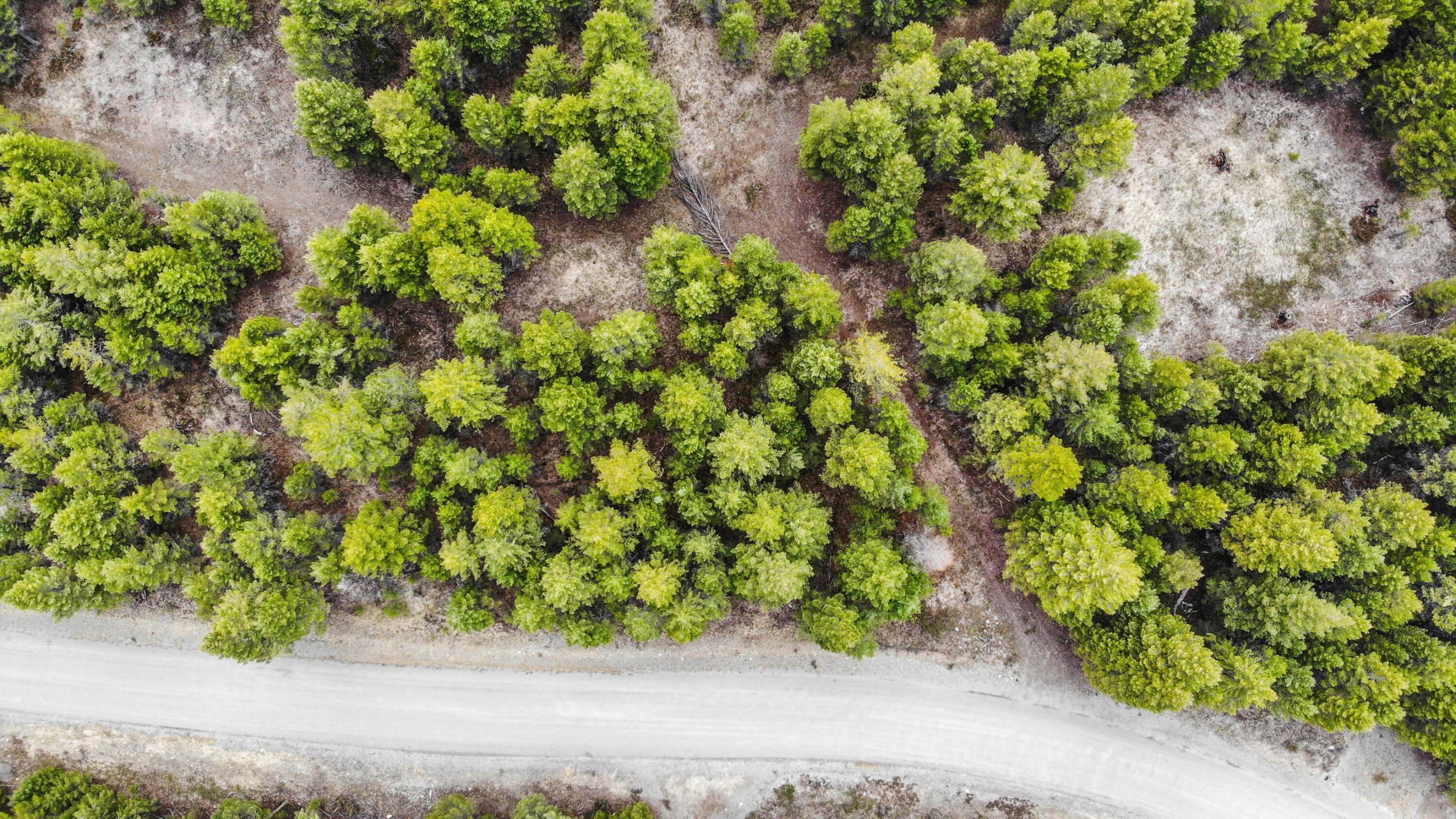 NHN Evergreen Drive Lot 23