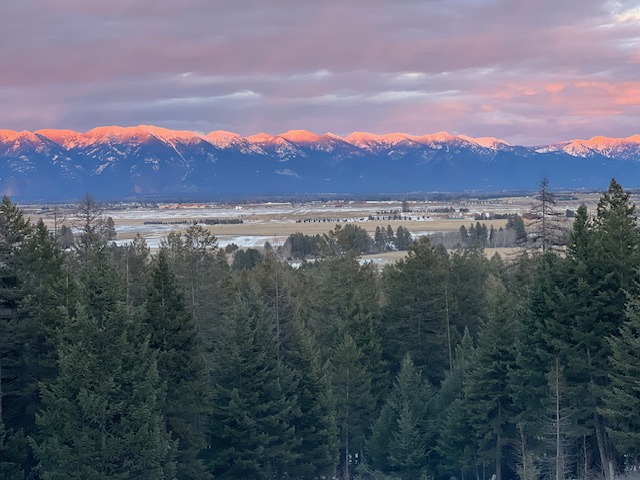 2011 Four Mile Drive