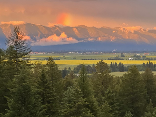 2011 Four Mile Drive