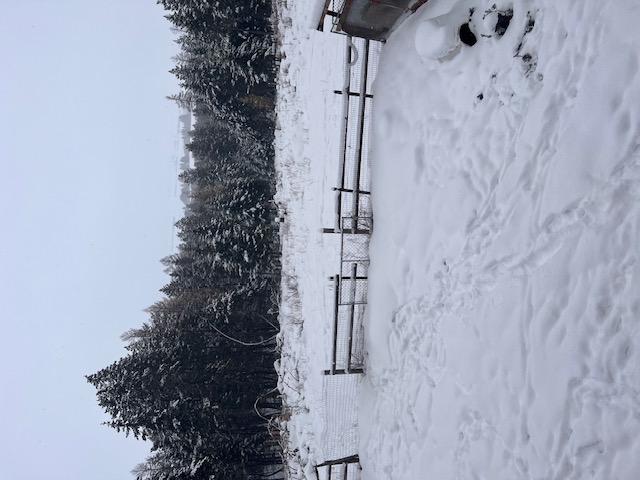 2011 Four Mile Drive