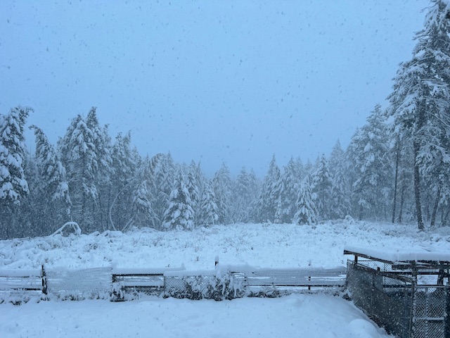 2011 Four Mile Drive