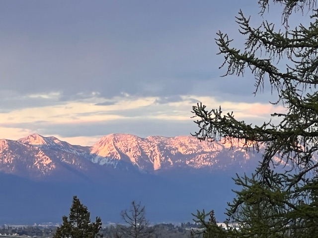 2011 Four Mile Drive