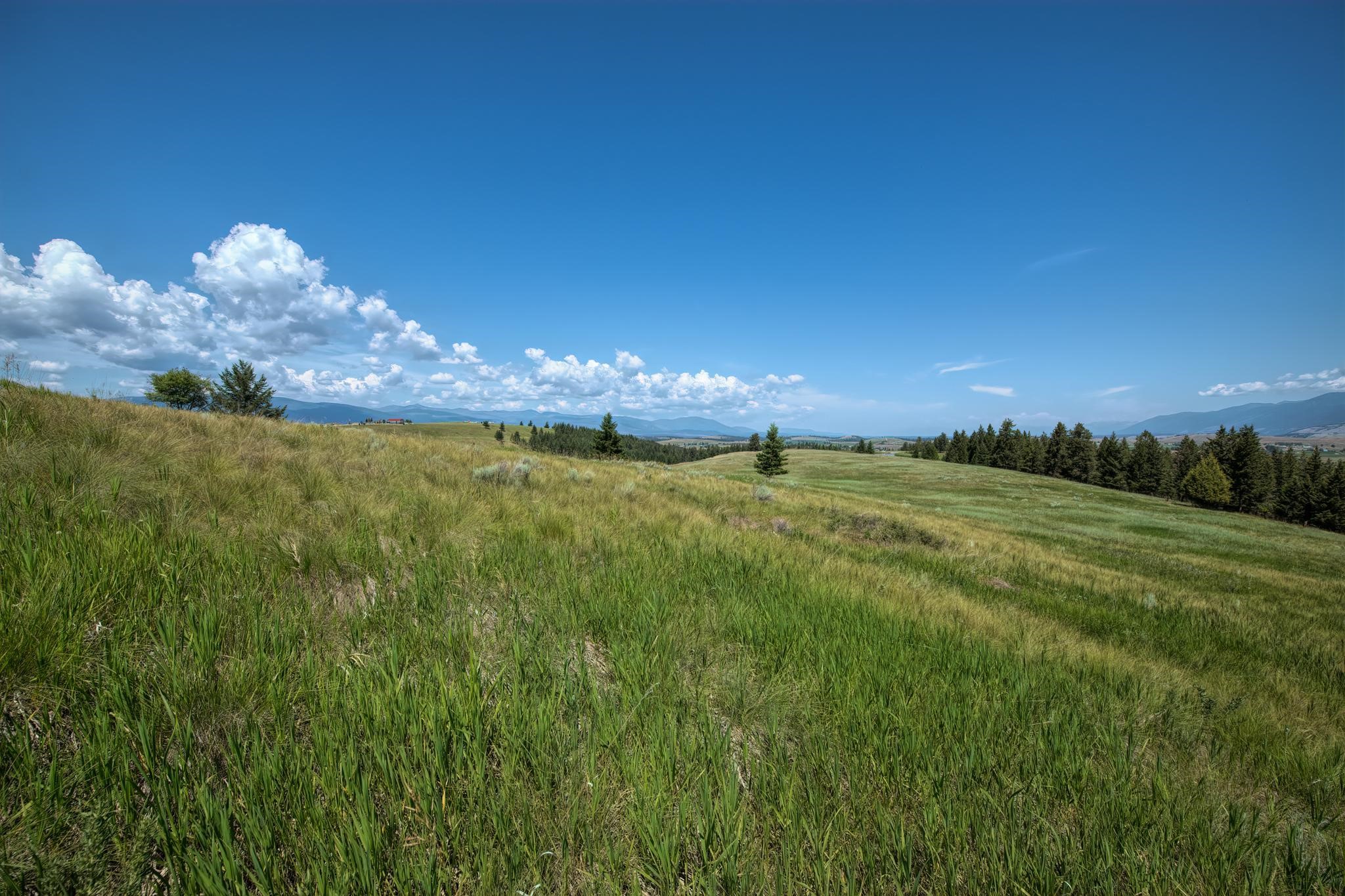 9.76 Acres-Scenery Hill