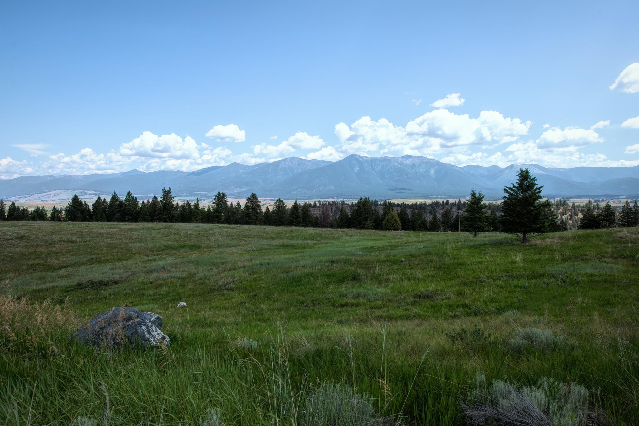 9.76 Acres-Scenery Hill