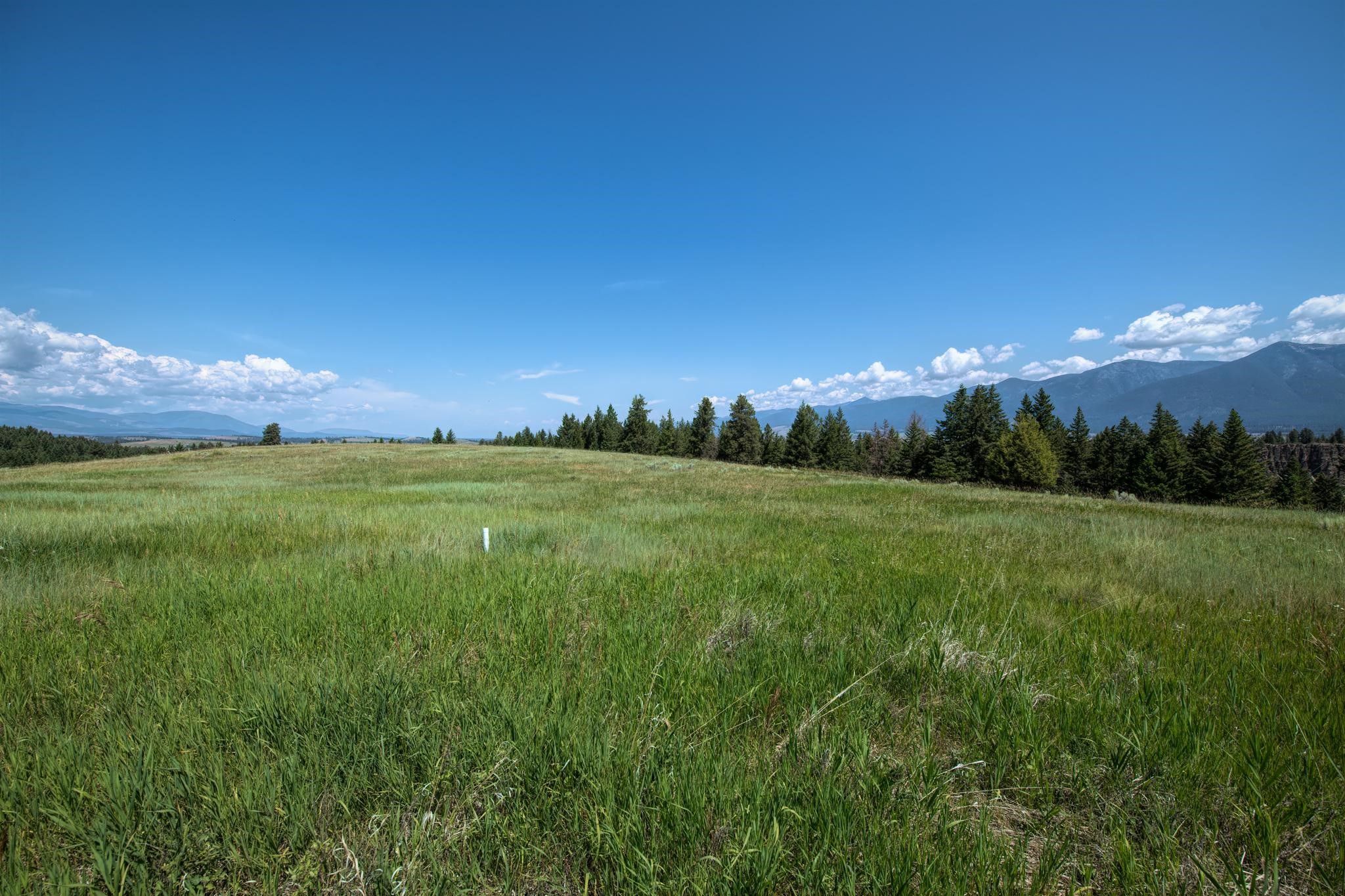 9.76 Acres-Scenery Hill