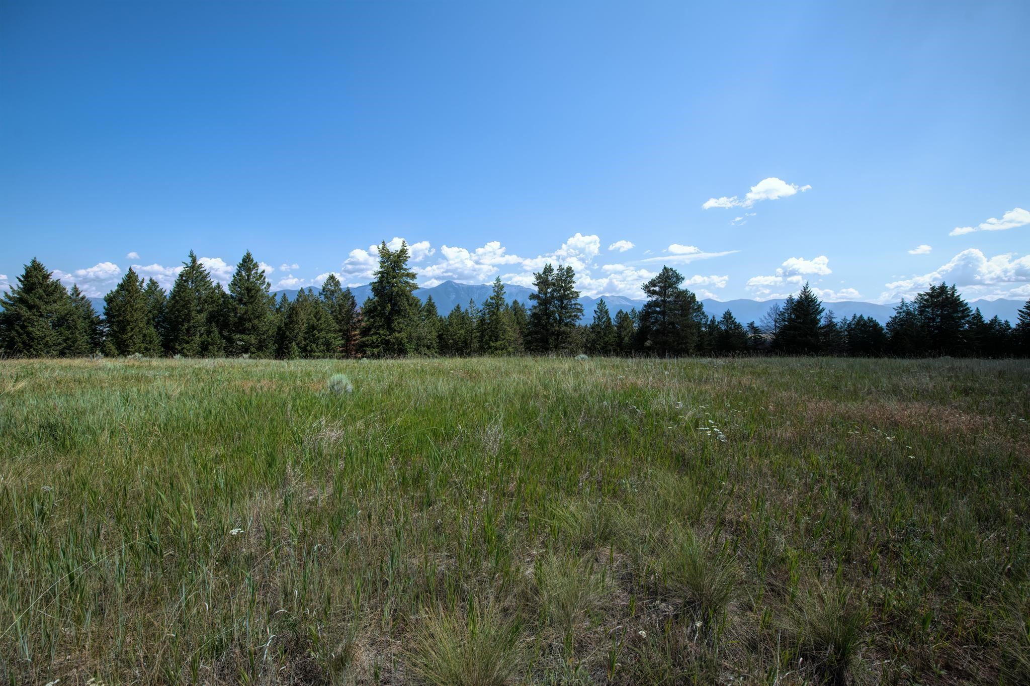 9.76 Acres-Scenery Hill