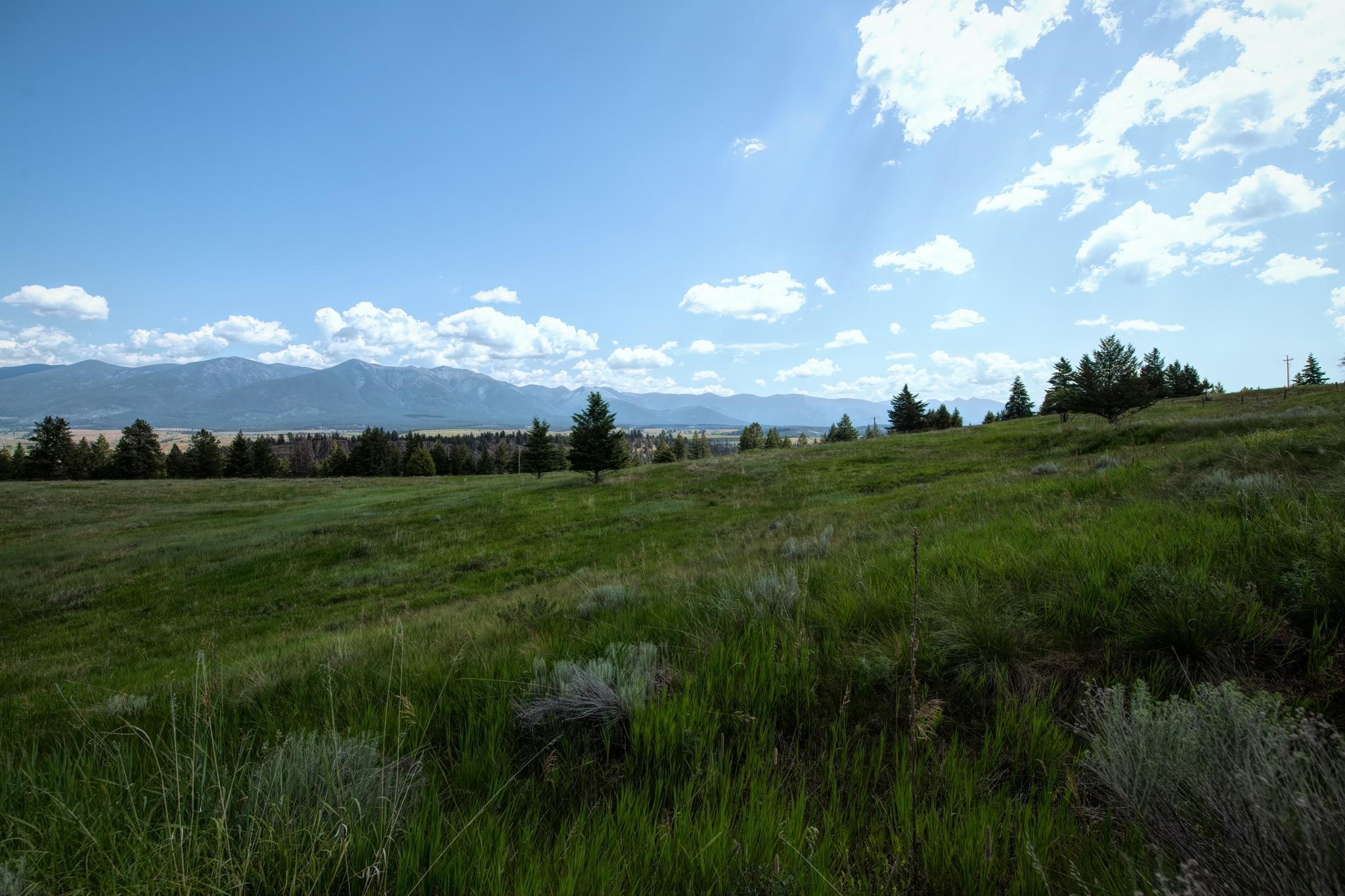 9.76 Acres-Scenery Hill