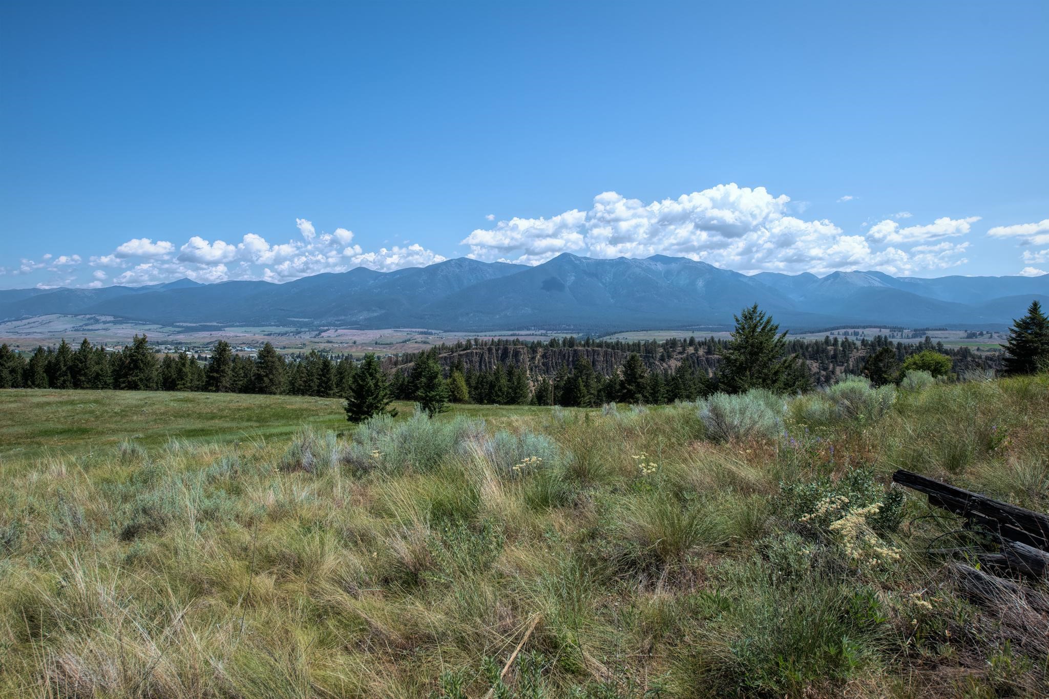 9.76 Acres-Scenery Hill