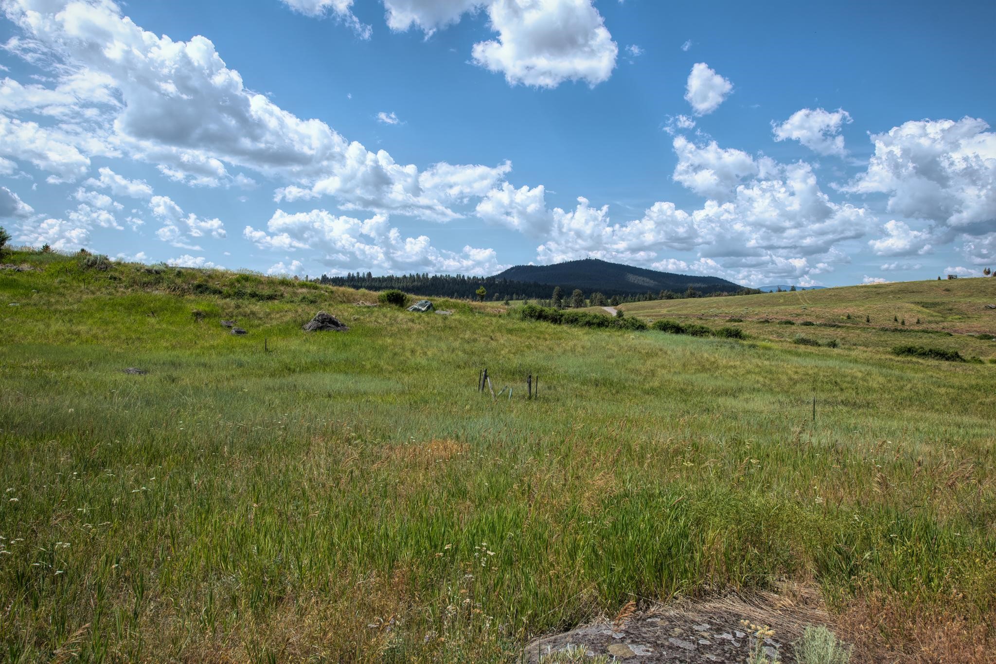 9.76 Acres-Scenery Hill