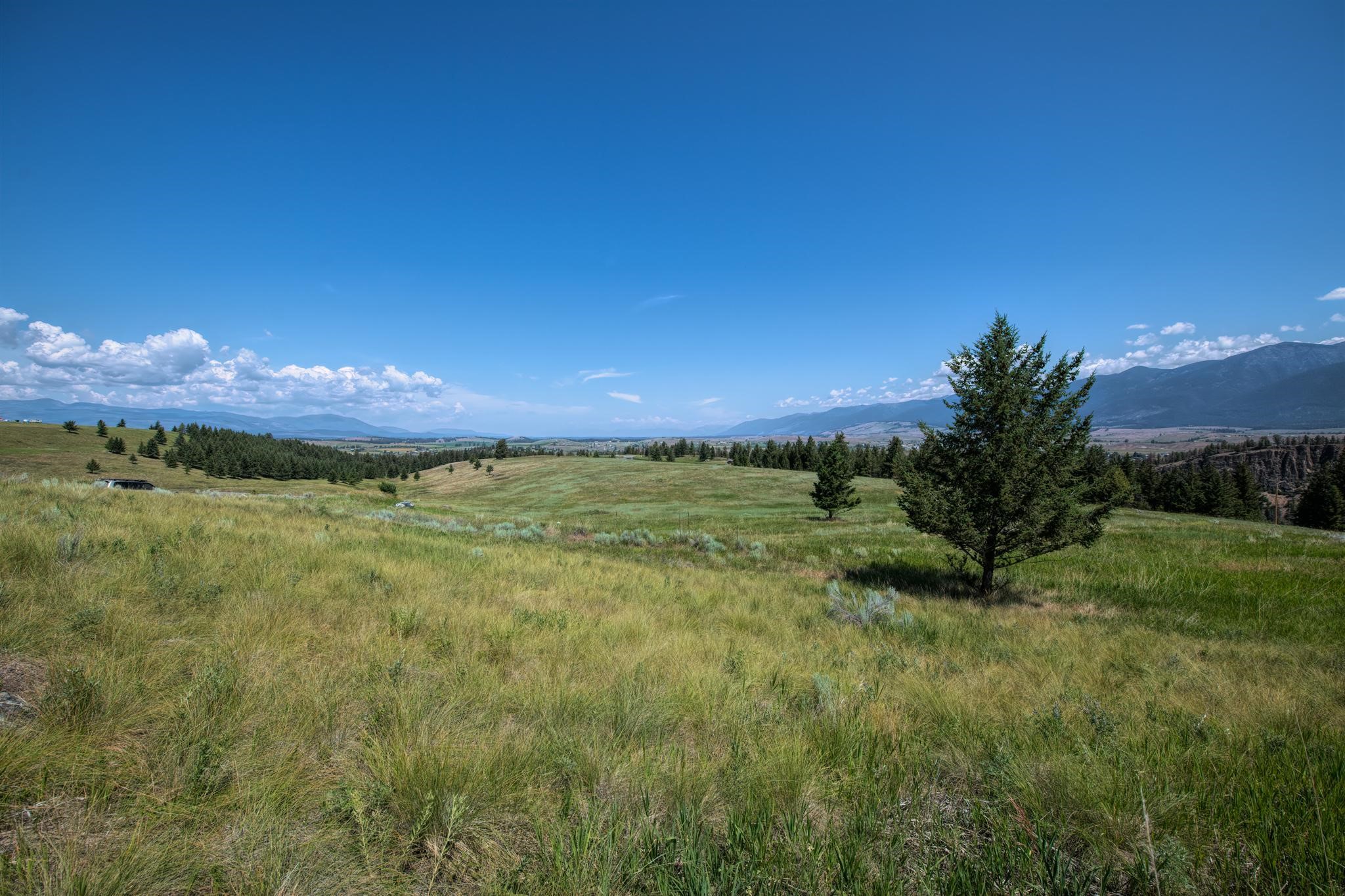 9.76 Acres-Scenery Hill