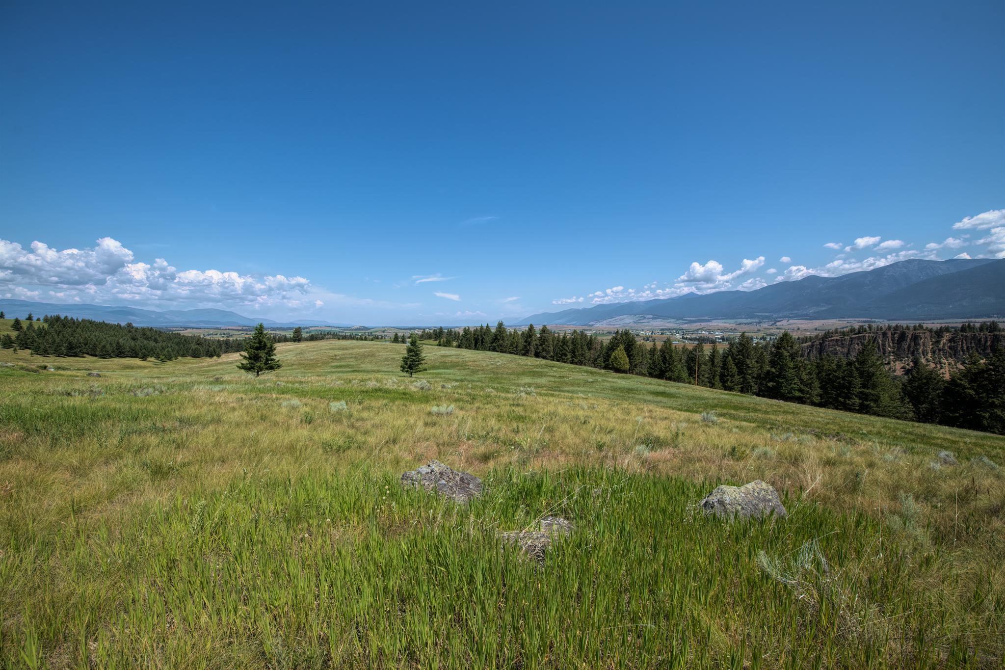 9.76 Acres-Scenery Hill