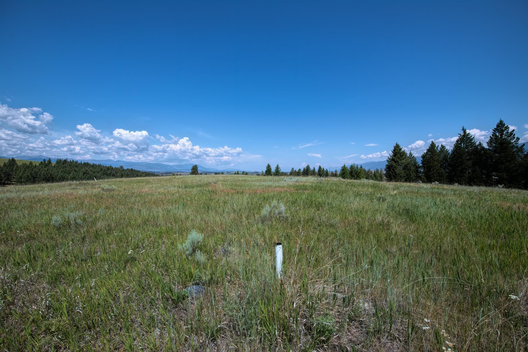 9.76 Acres-Scenery Hill