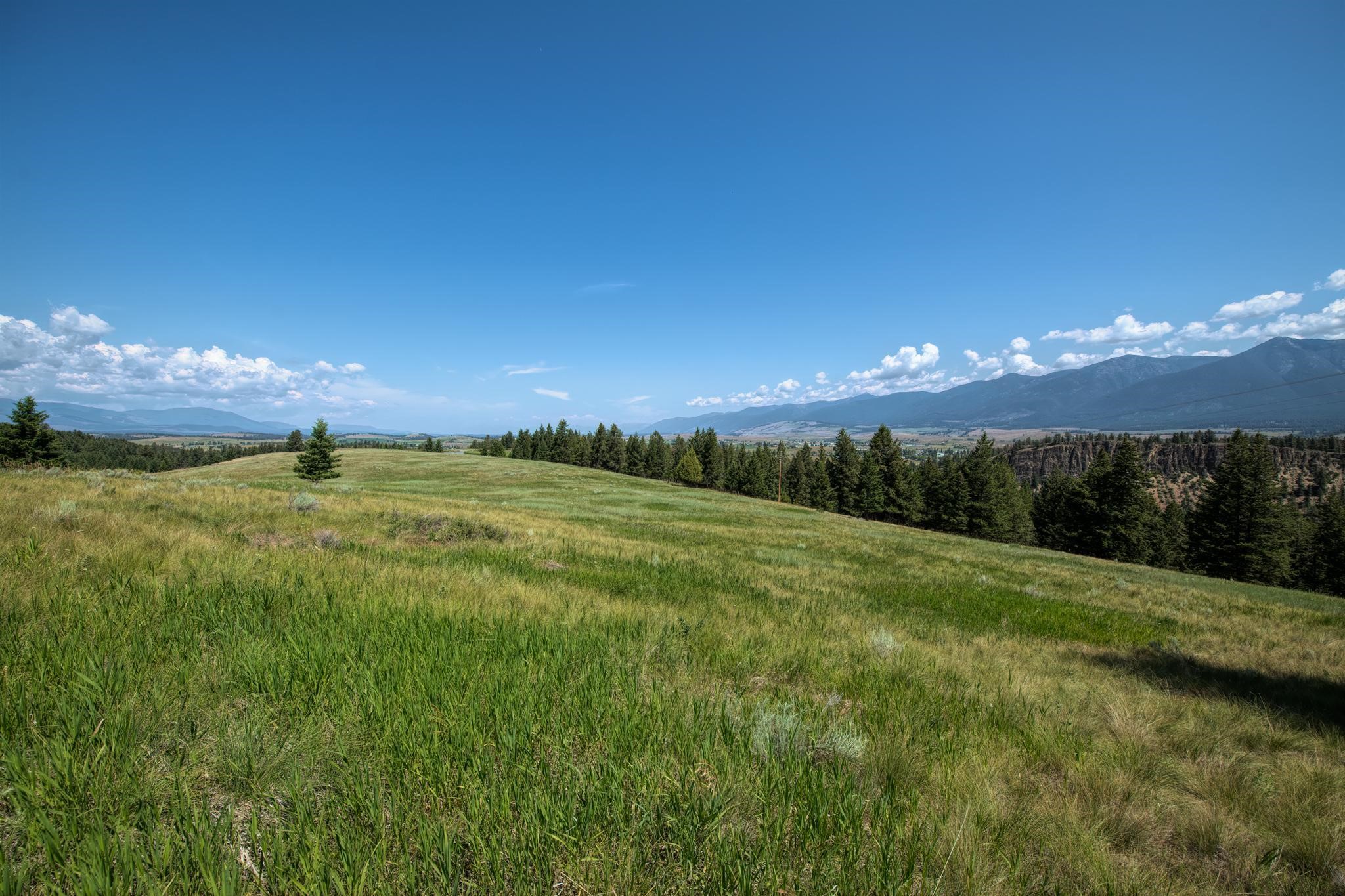 9.76 Acres-Scenery Hill