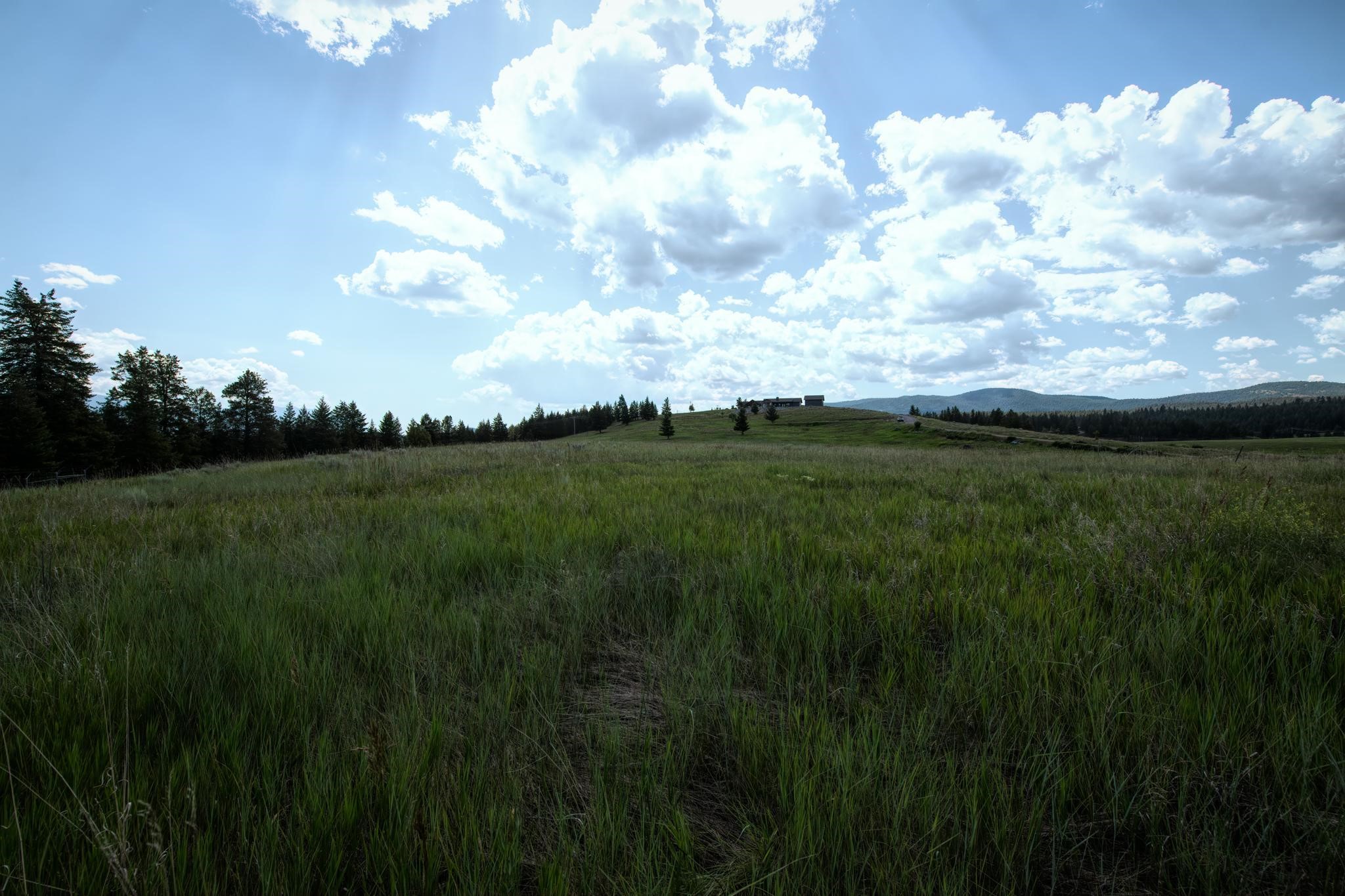 9.76 Acres-Scenery Hill