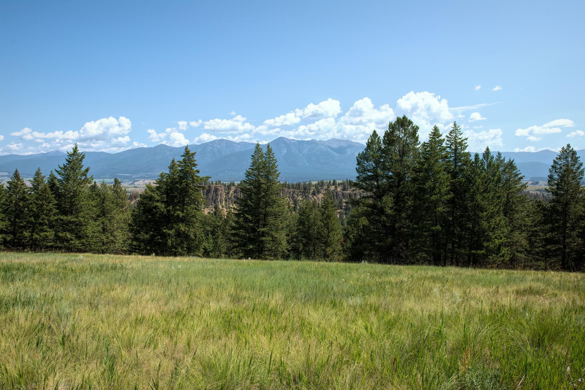 9.76 Acres-Scenery Hill