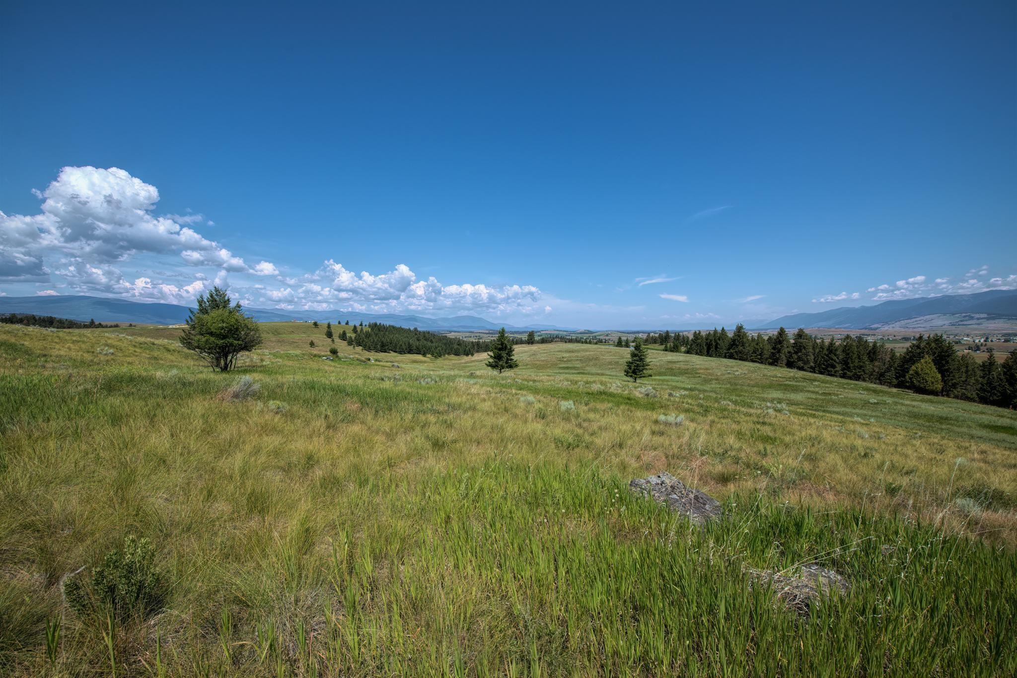 9.76 Acres-Scenery Hill