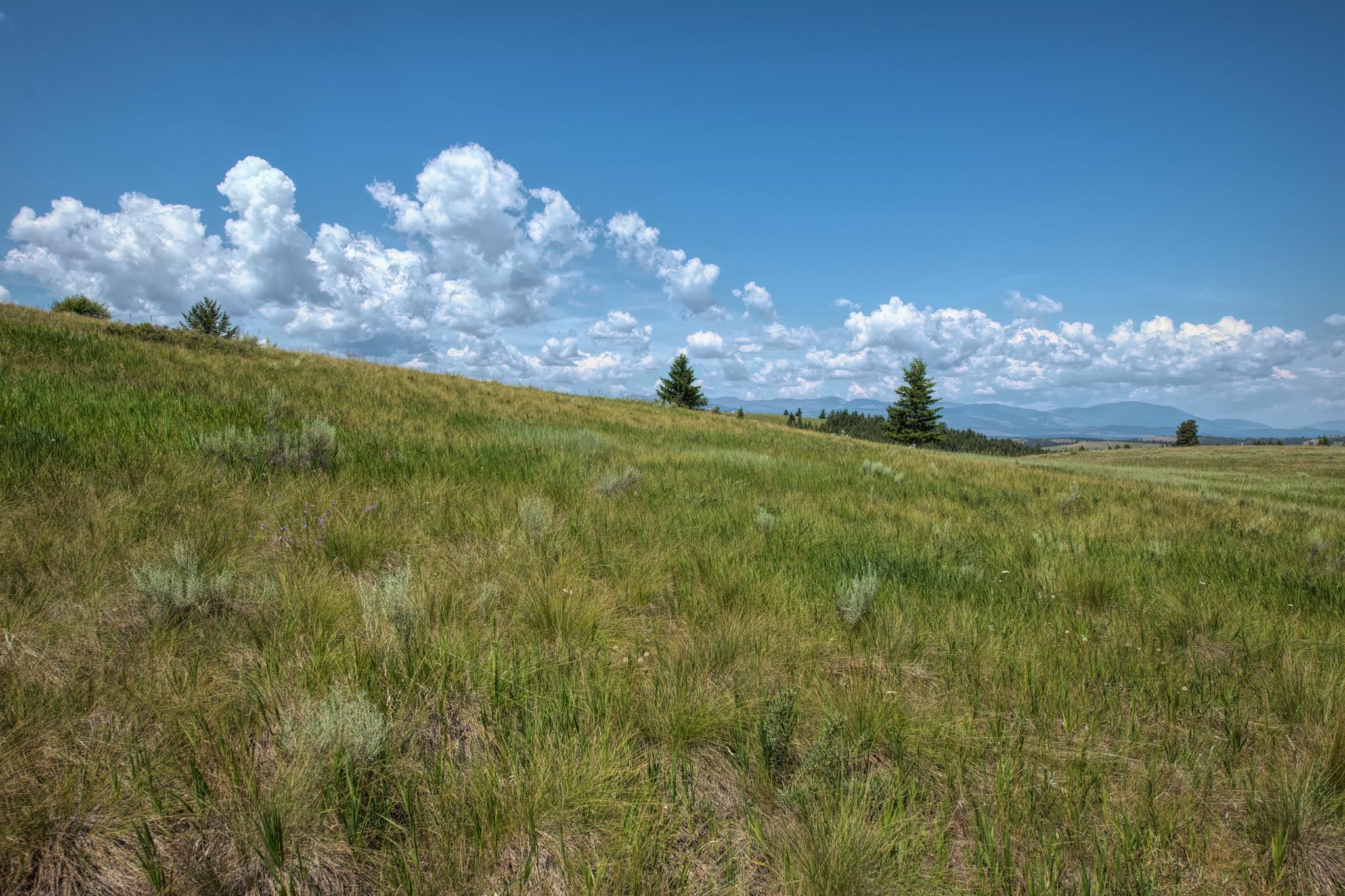 9.76 Acres-Scenery Hill