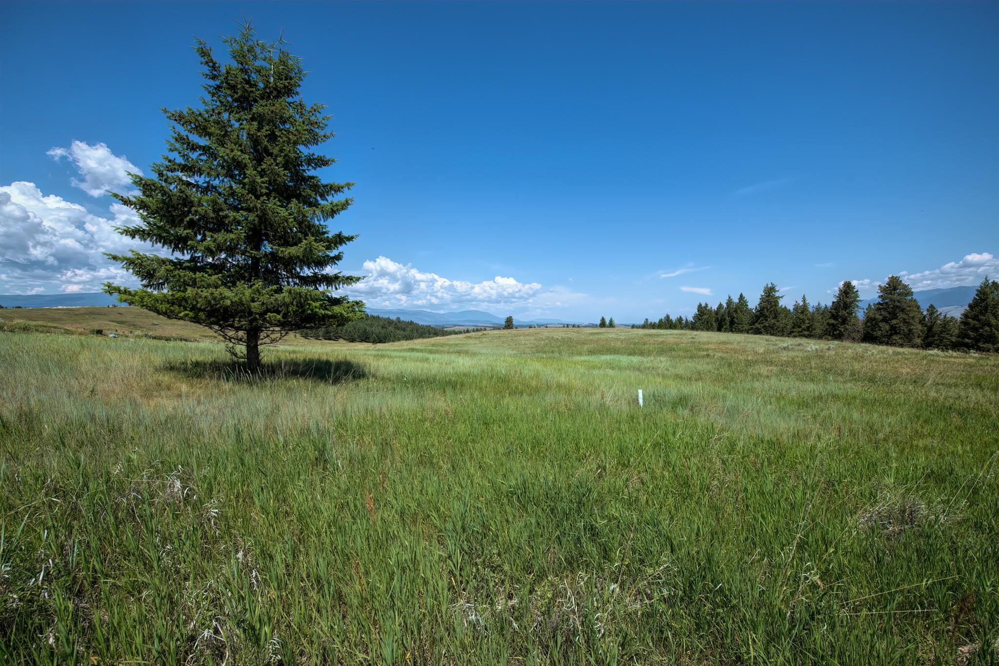 9.76 Acres-Scenery Hill