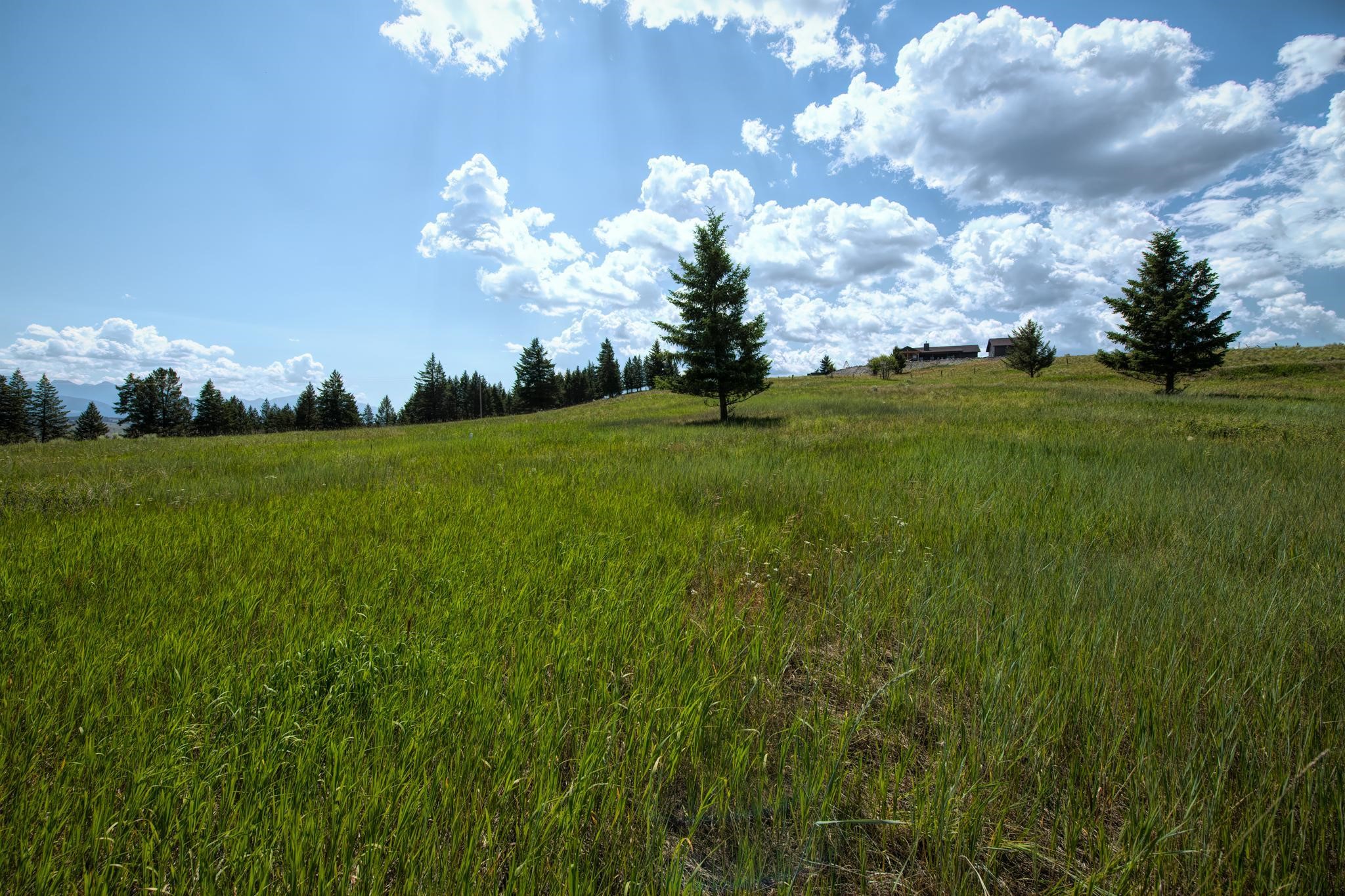 9.76 Acres-Scenery Hill