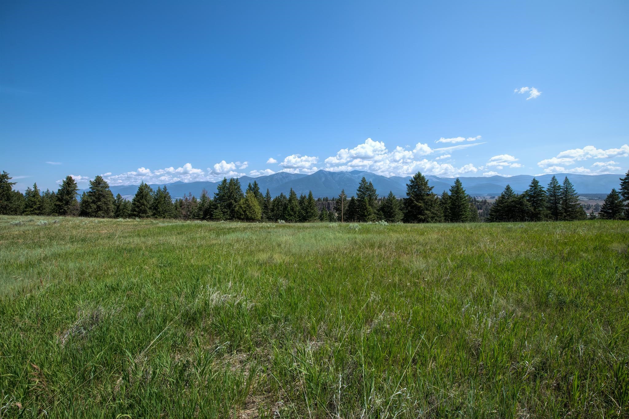 9.76 Acres-Scenery Hill