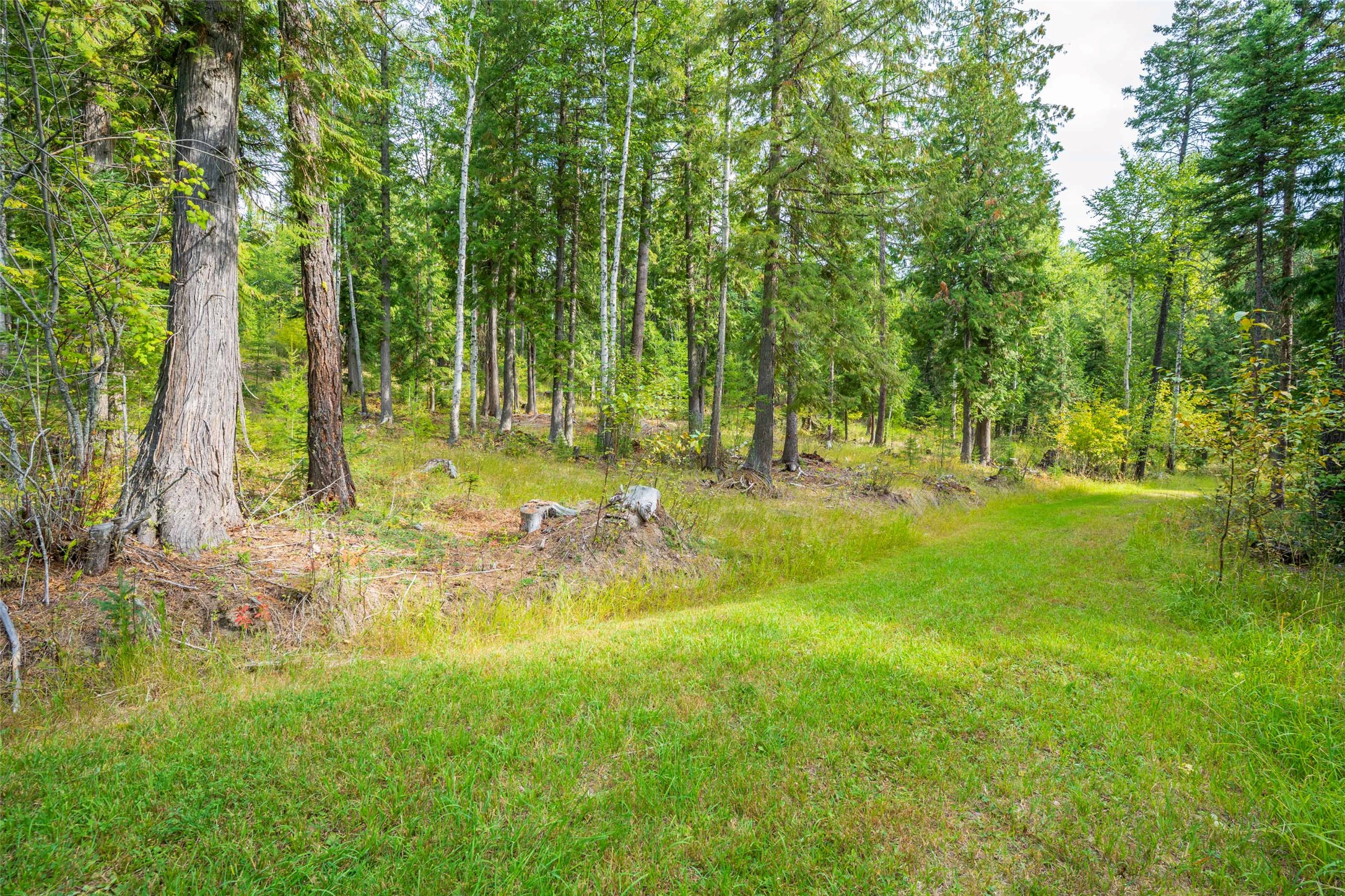 2178 Snowghost Drive