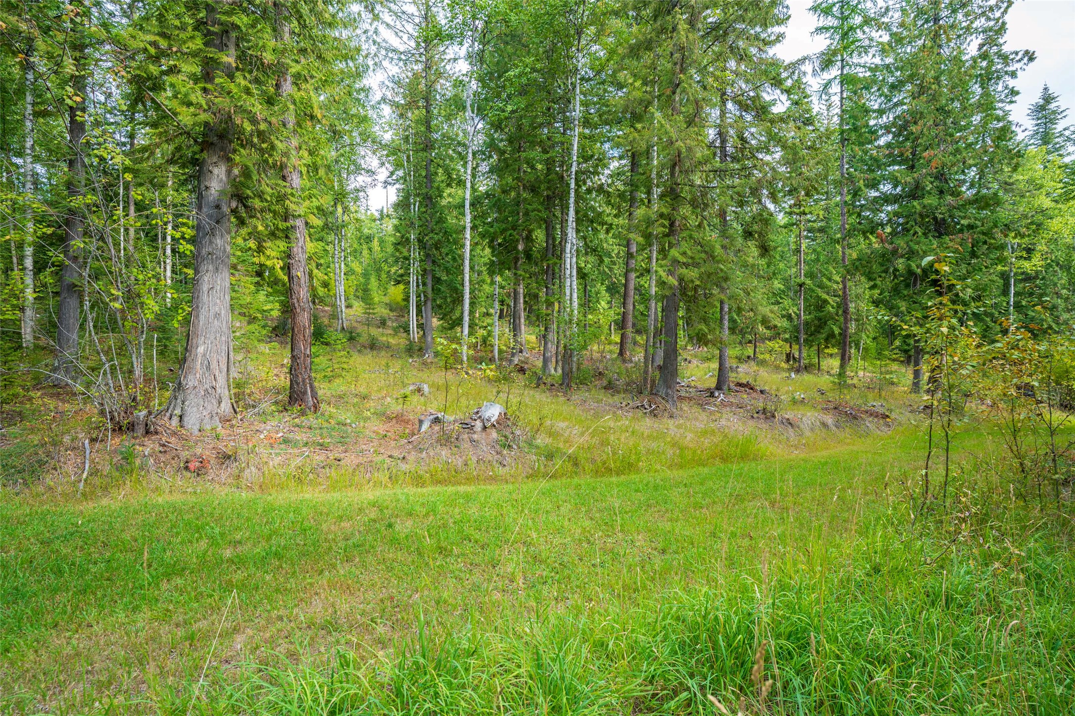 2178 Snowghost Drive