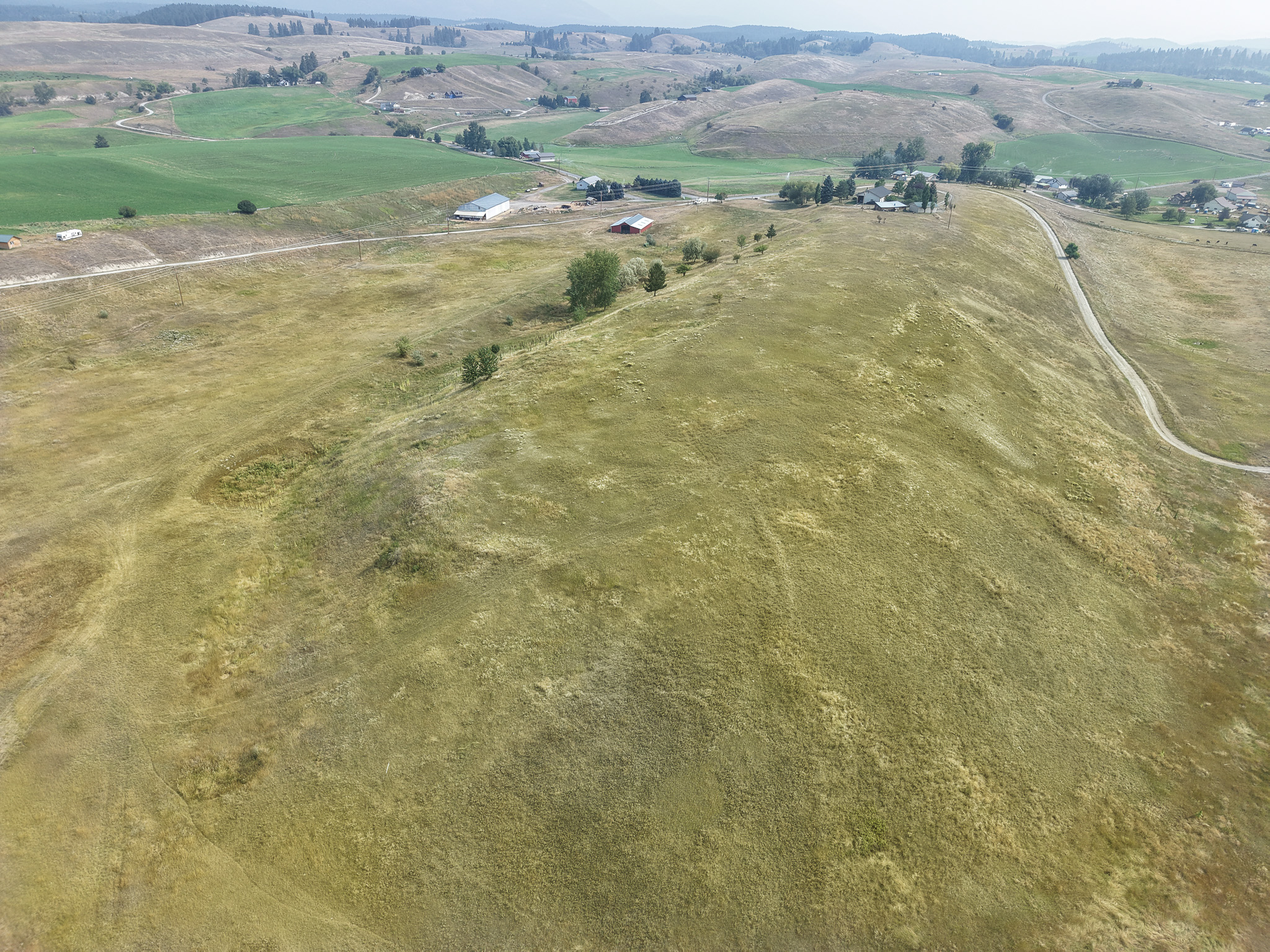 1838 Mills Spring Road Tract 1