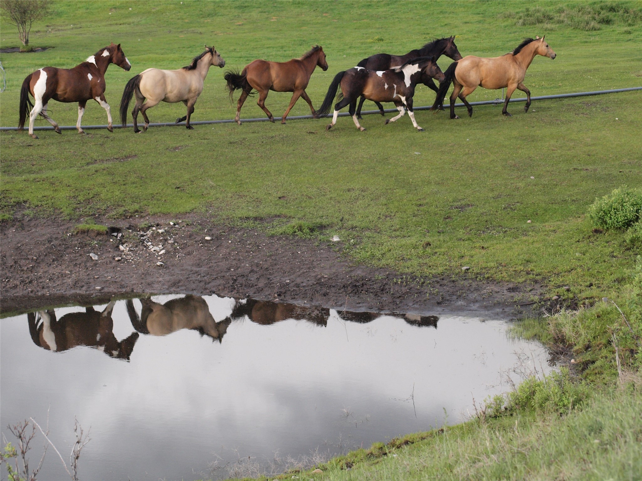 1838 Mills Spring Road Tract 1