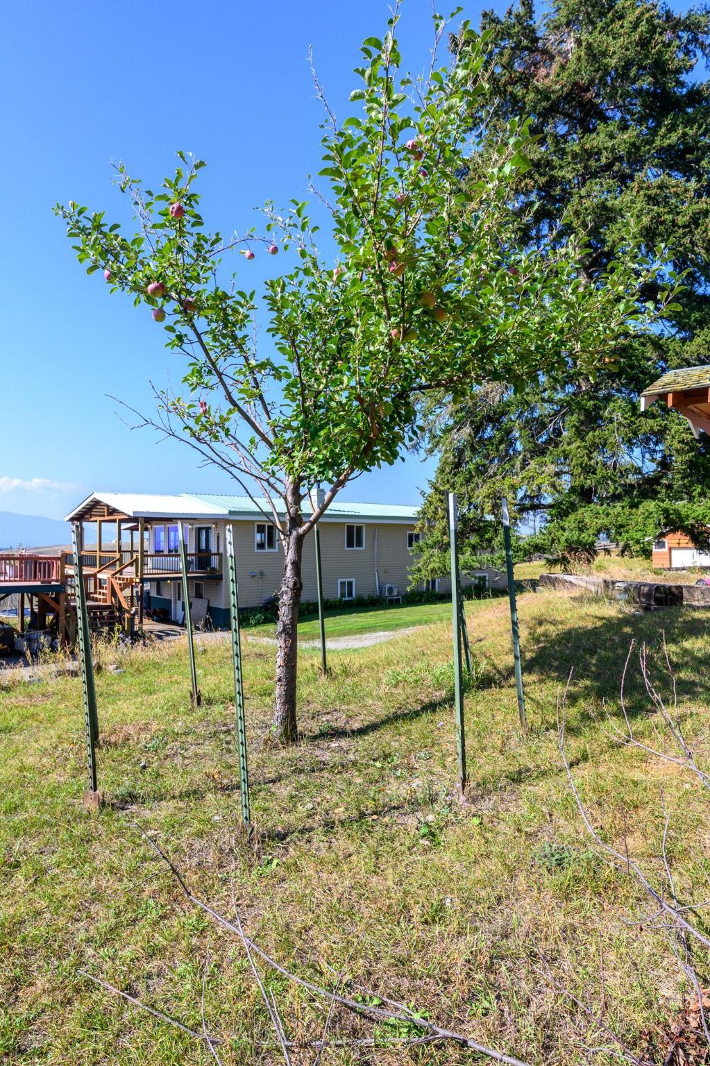 319 Scenic Drive