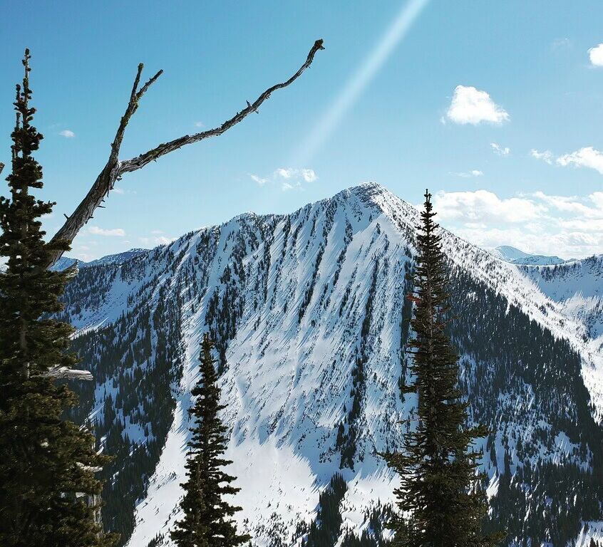 14875 Us Highway 2 E