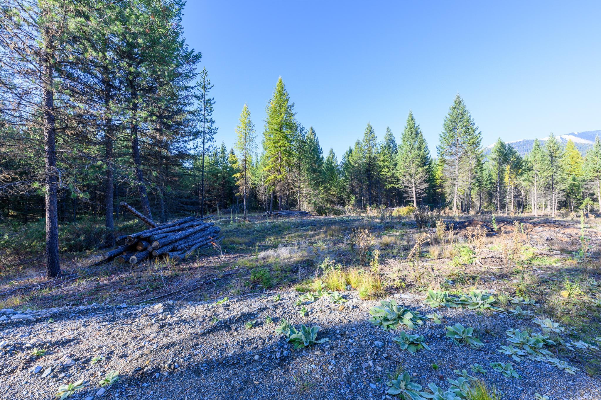 209 Turtle Trail