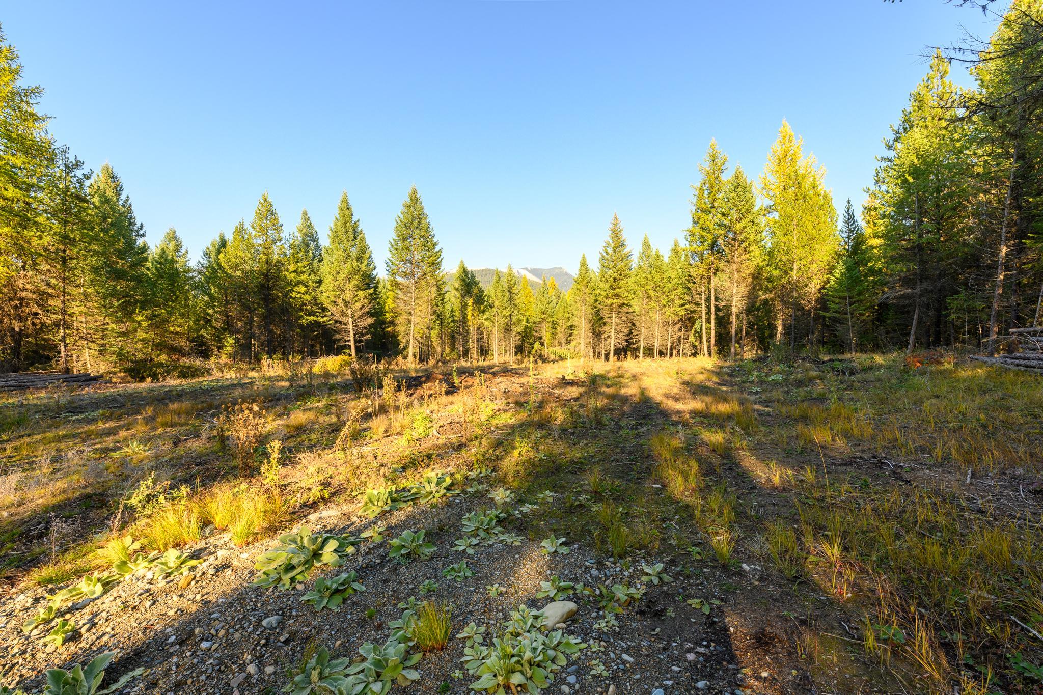 209 Turtle Trail