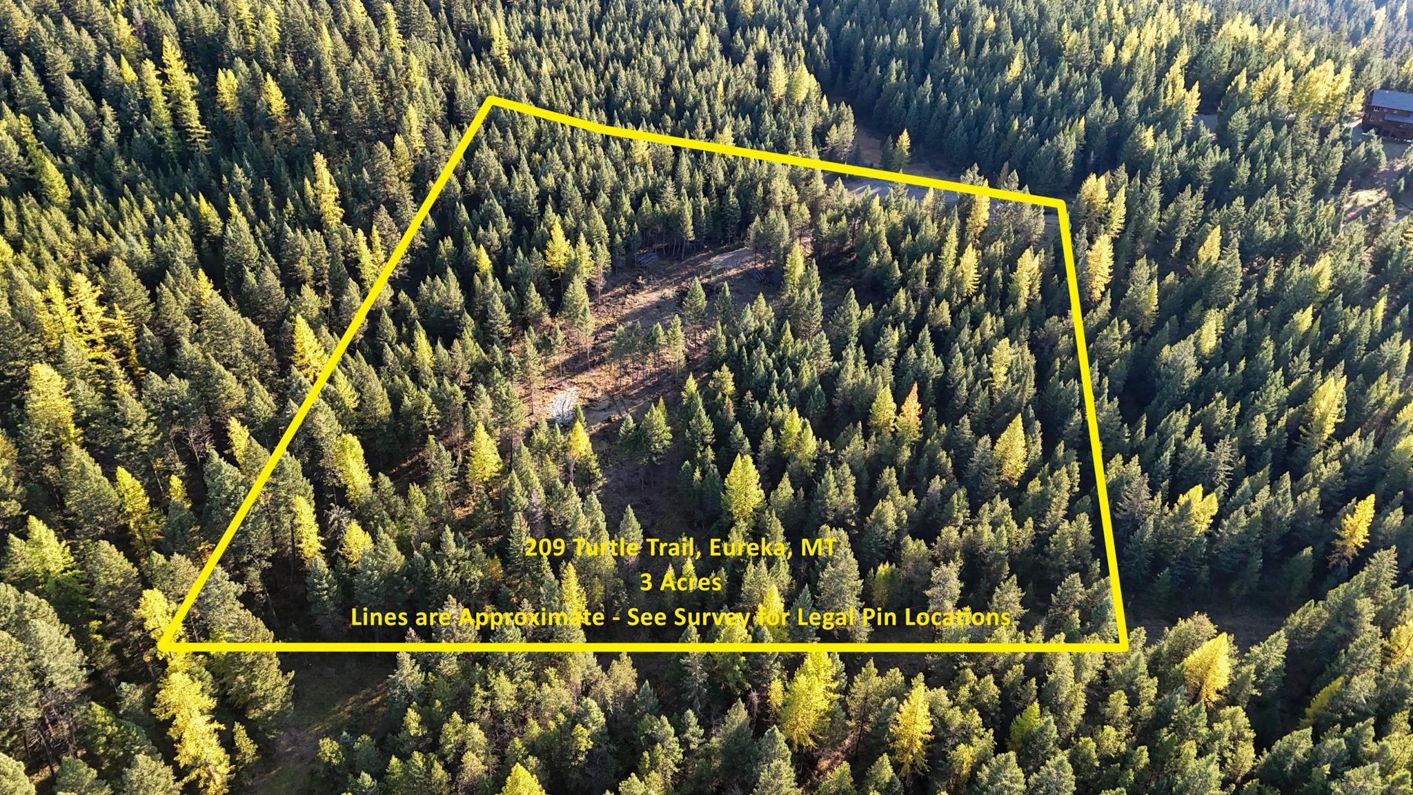 209 Turtle Trail