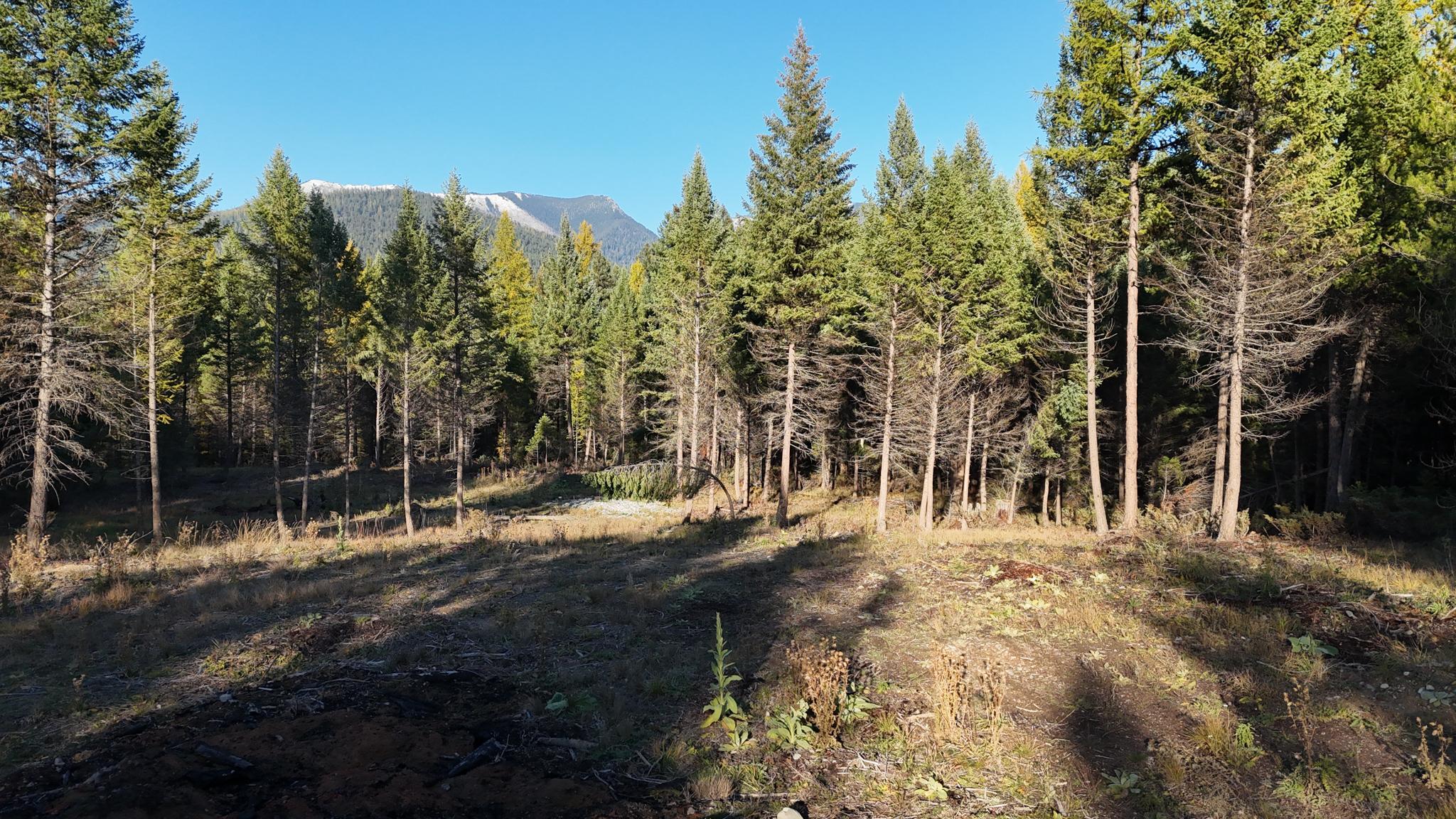 209 Turtle Trail