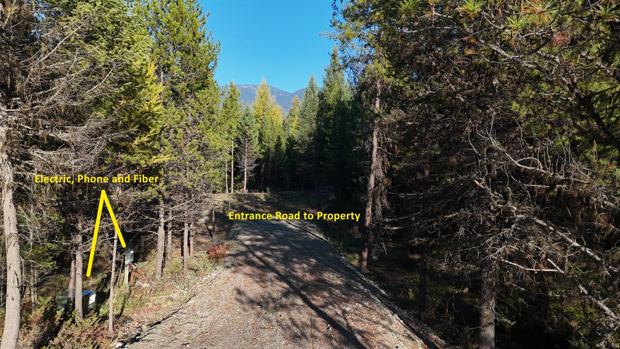 209 Turtle Trail