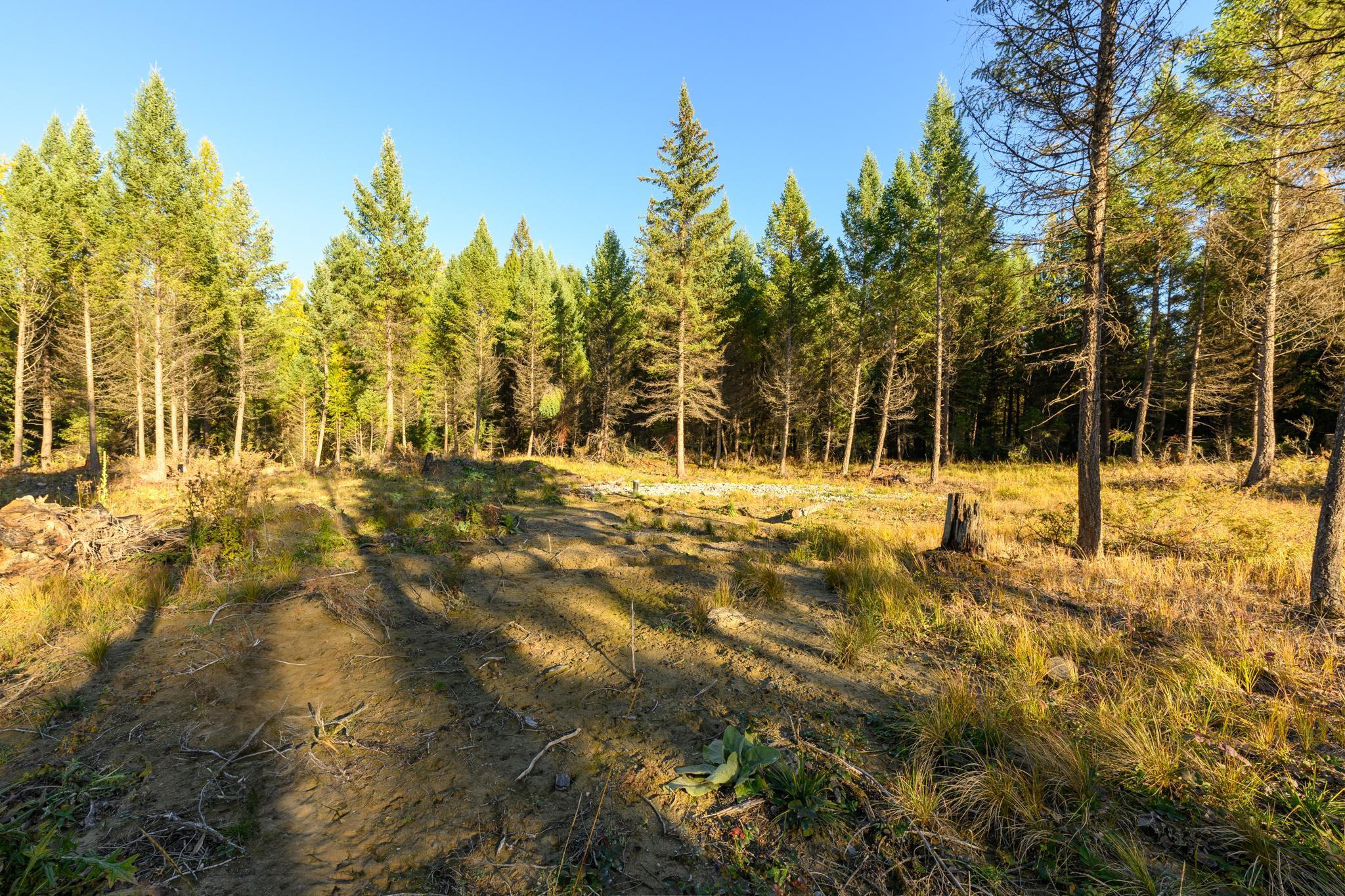 209 Turtle Trail