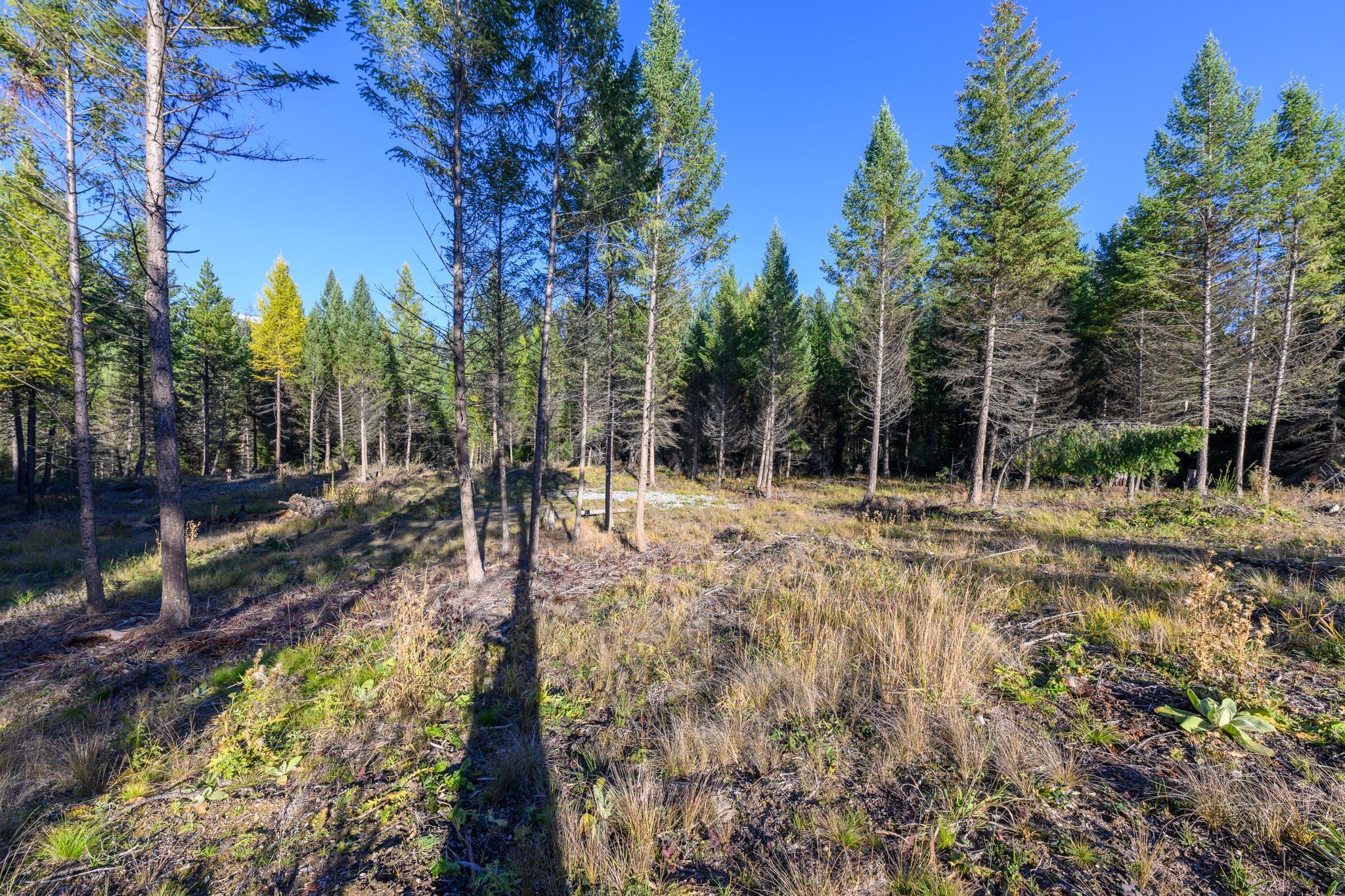 209 Turtle Trail