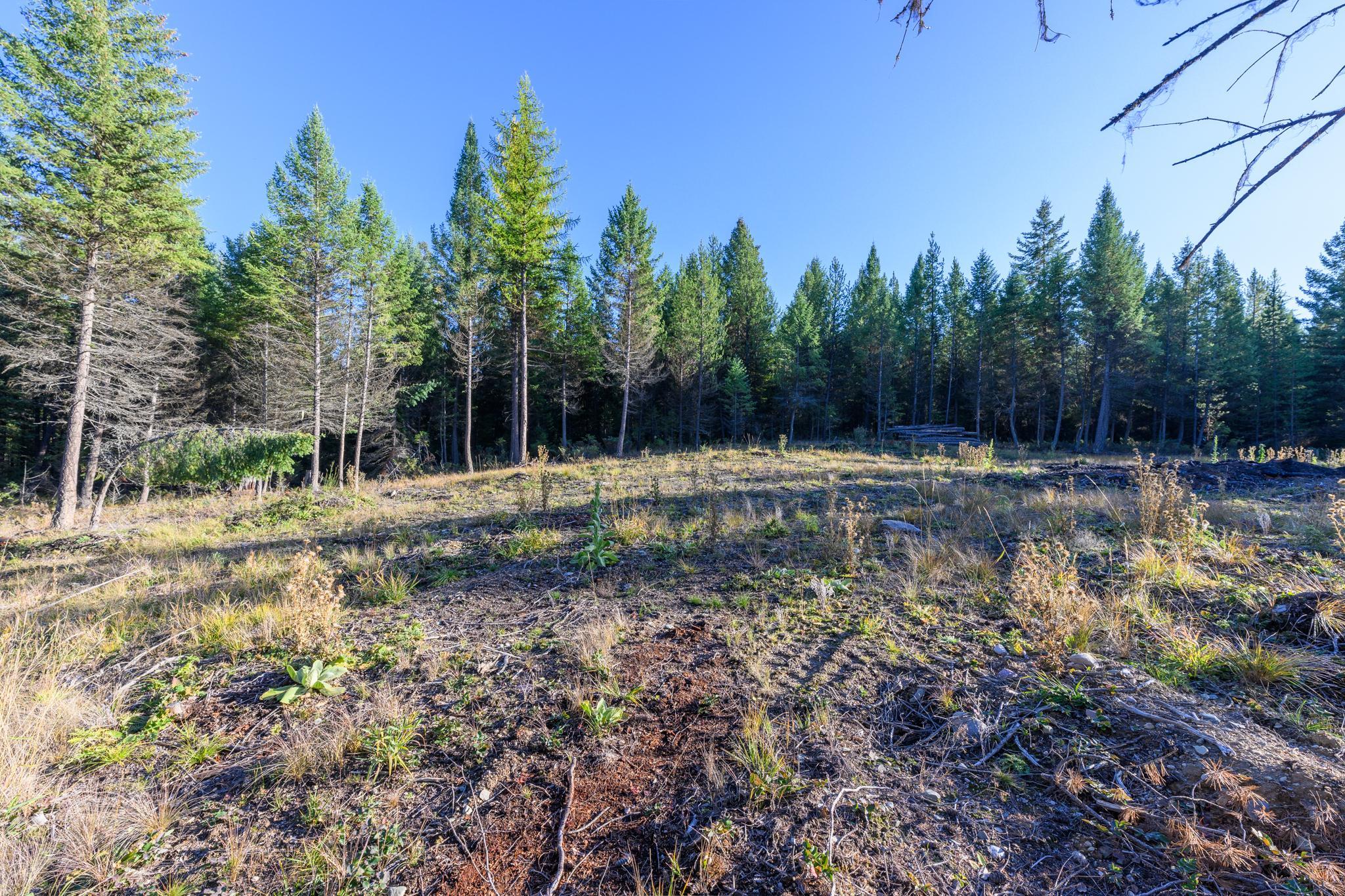 209 Turtle Trail