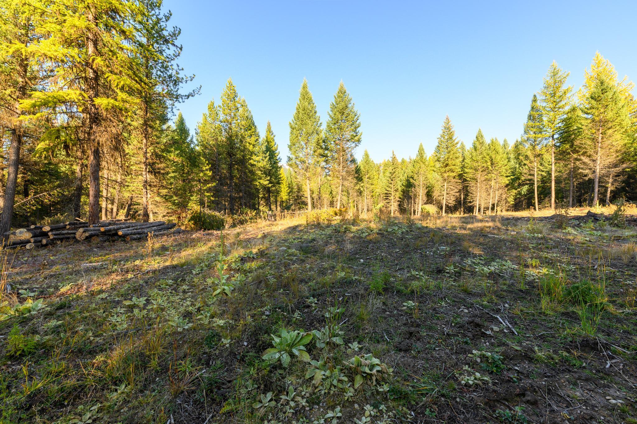 209 Turtle Trail