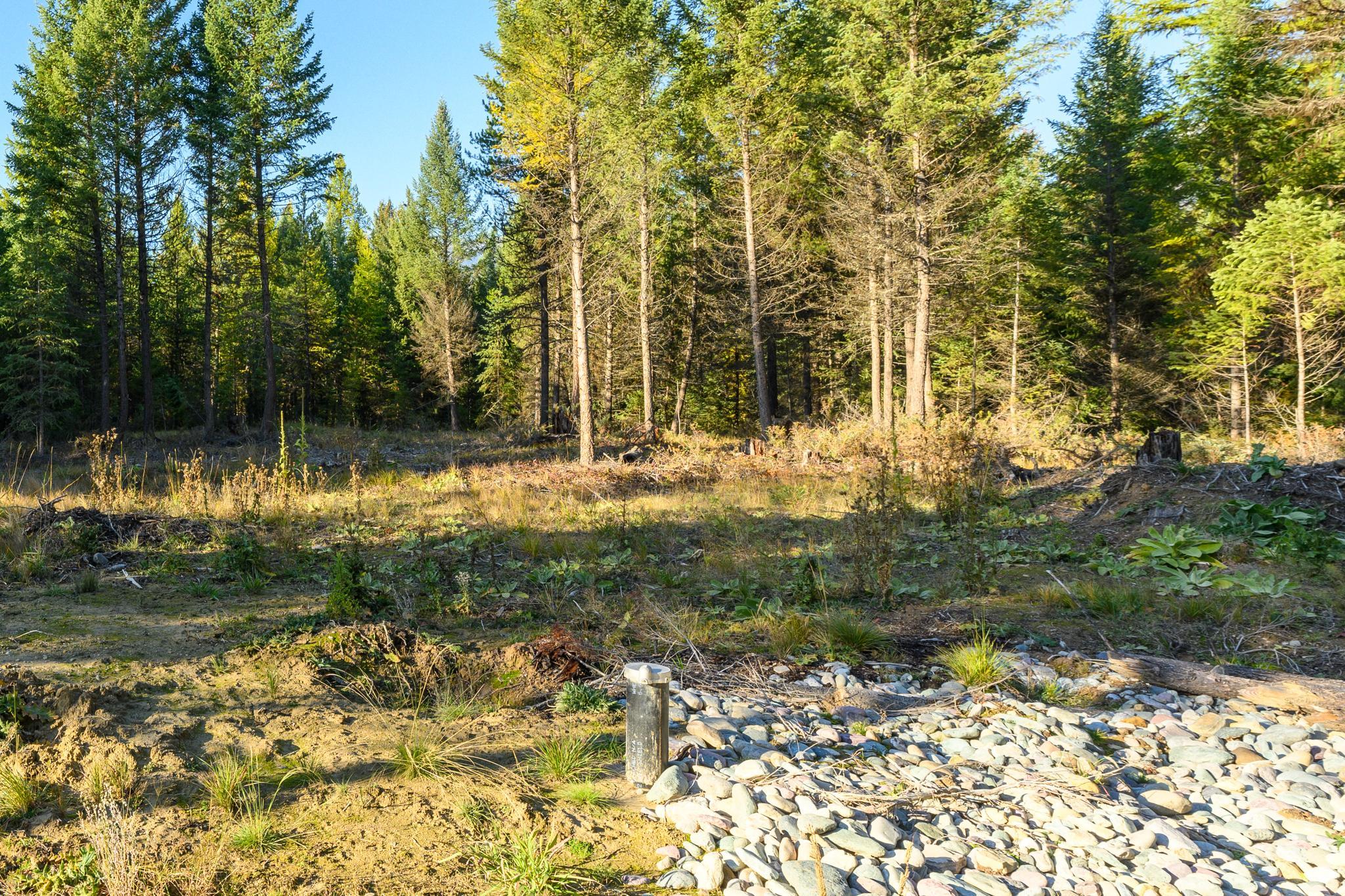 209 Turtle Trail