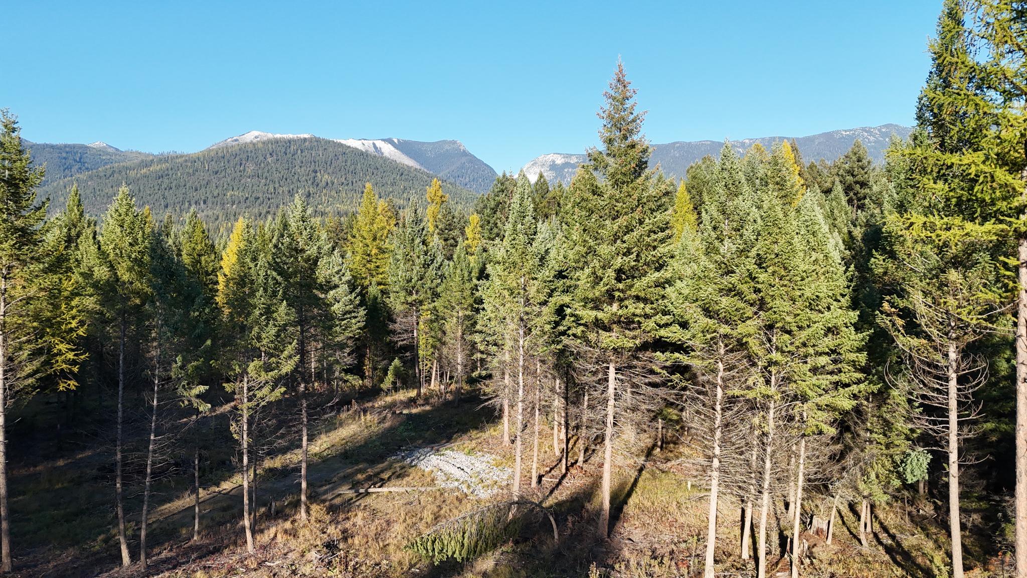 209 Turtle Trail