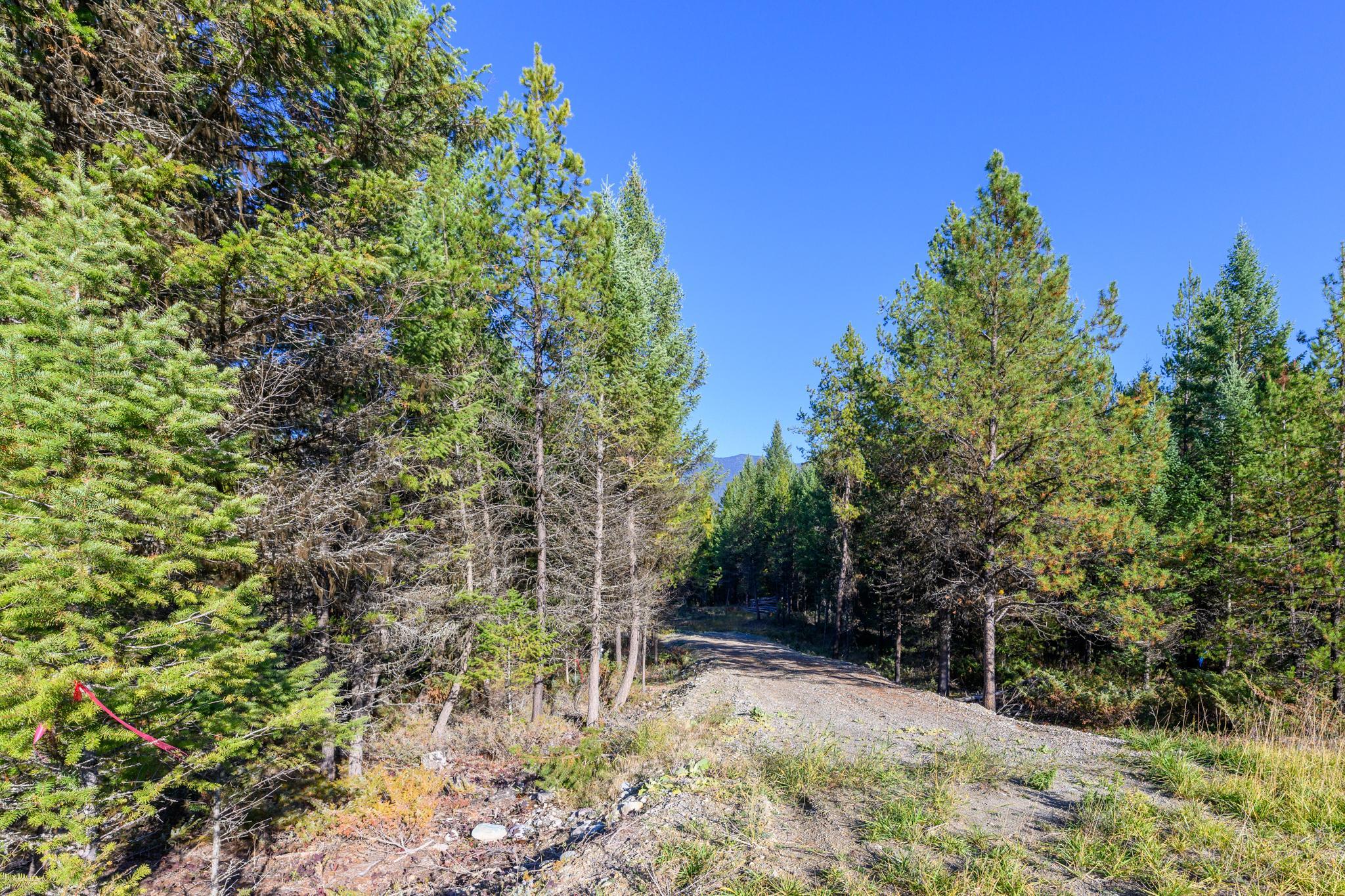209 Turtle Trail