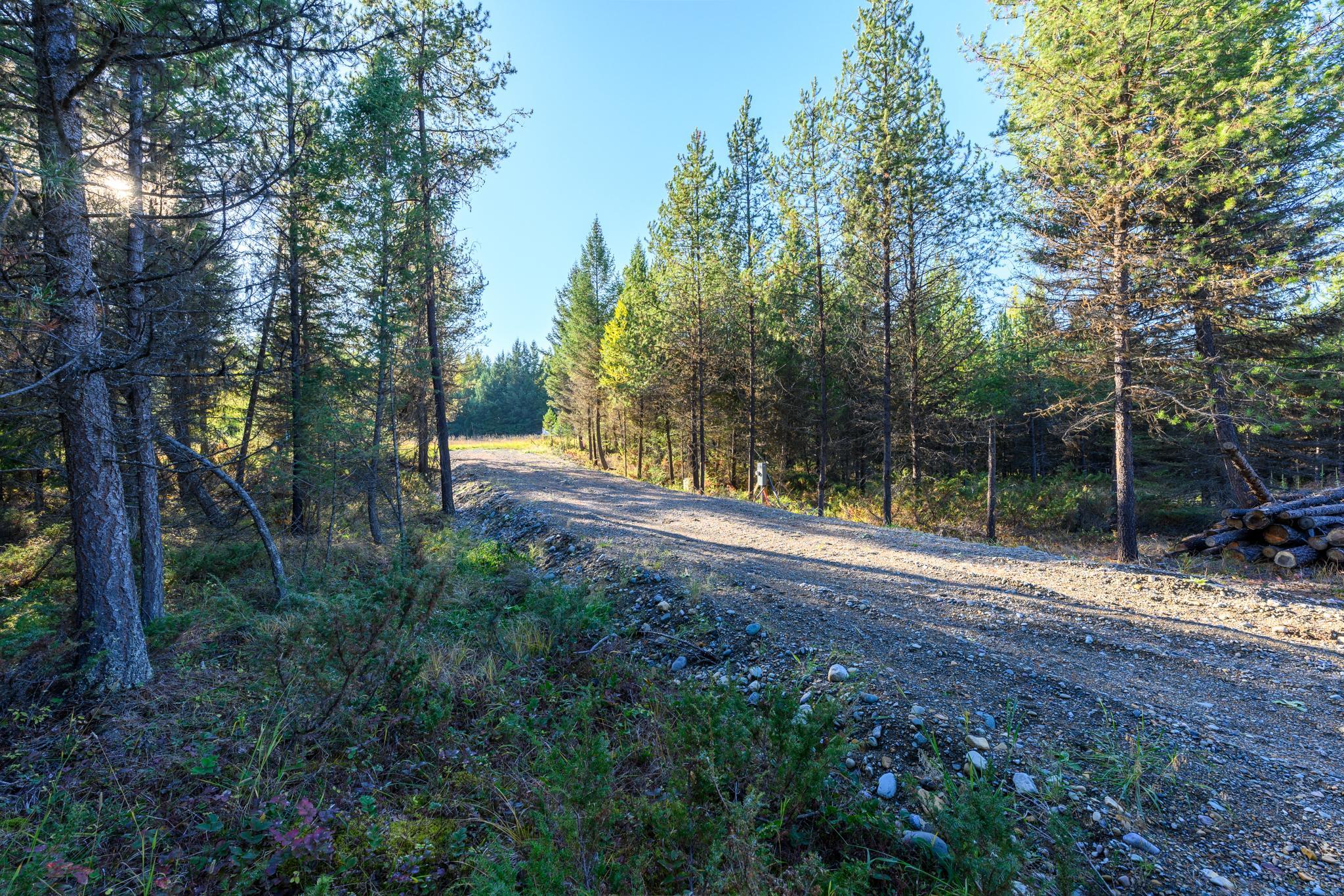 209 Turtle Trail