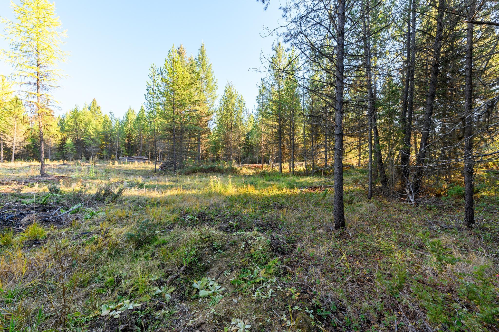 209 Turtle Trail